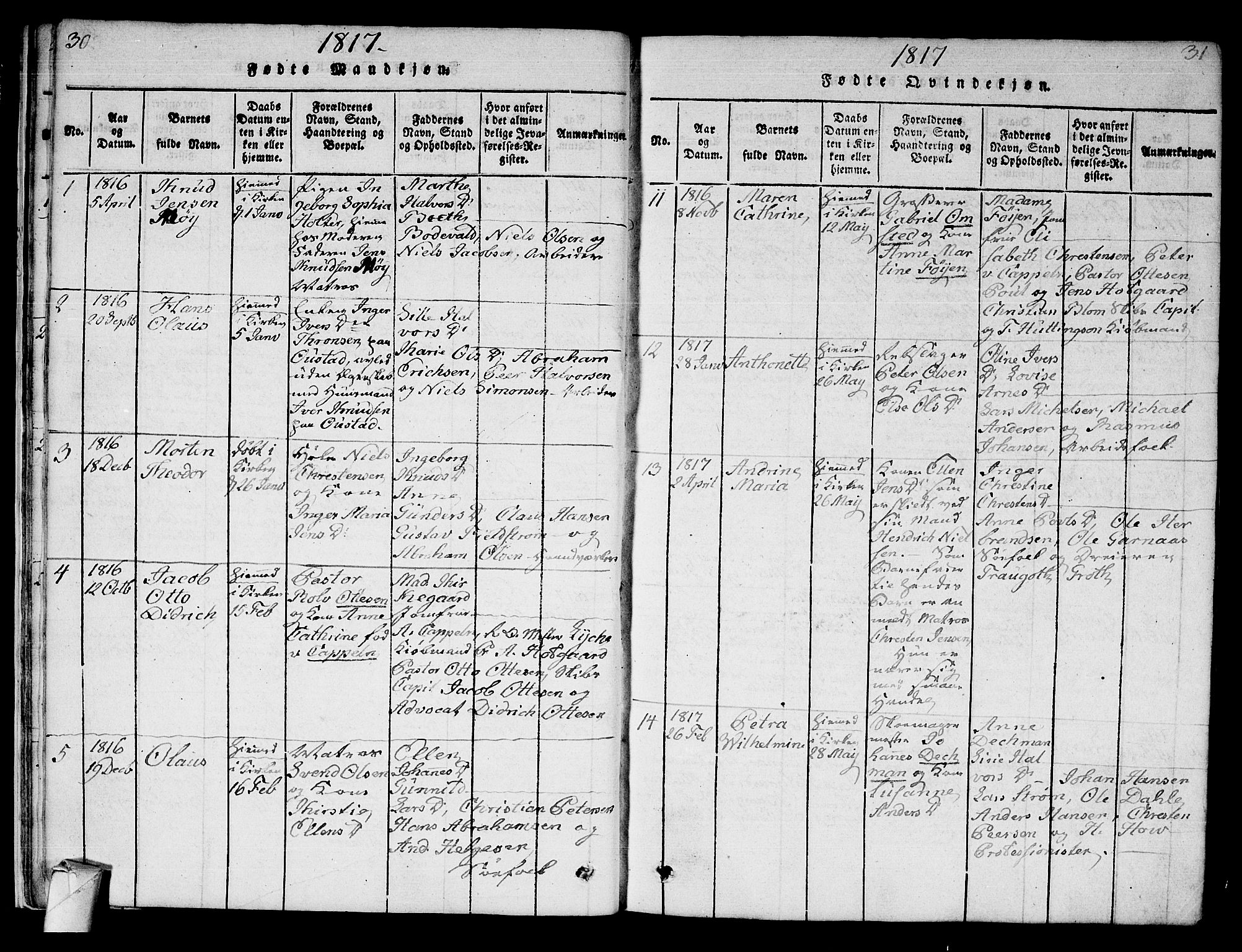 Strømsø kirkebøker, AV/SAKO-A-246/F/Fa/L0011: Ministerialbok nr. I 11, 1815-1829, s. 30-31