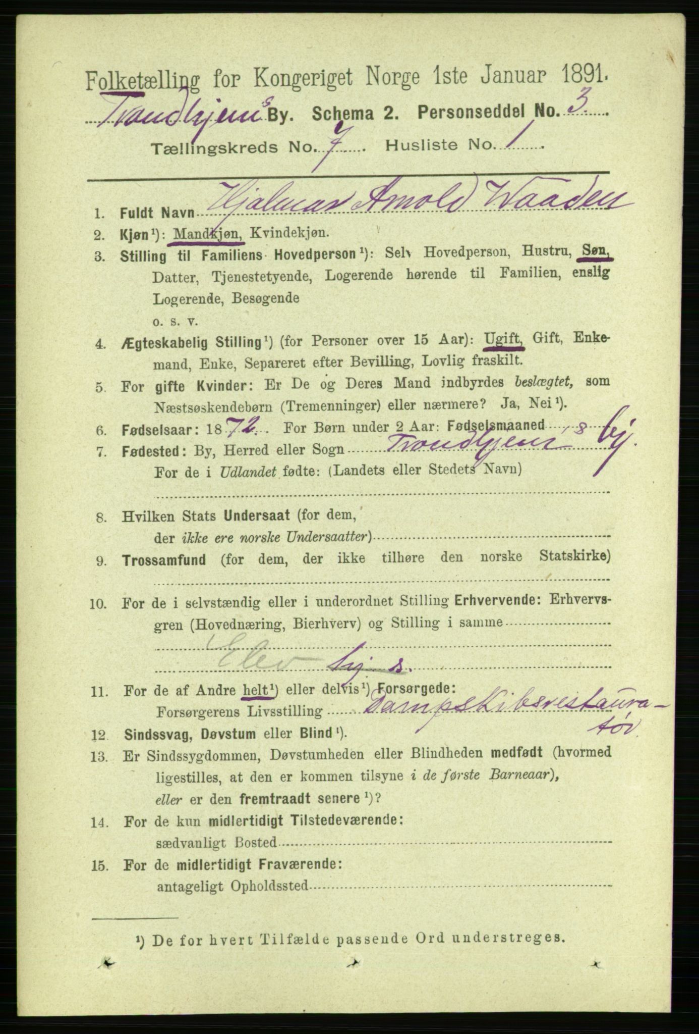 RA, Folketelling 1891 for 1601 Trondheim kjøpstad, 1891, s. 5999