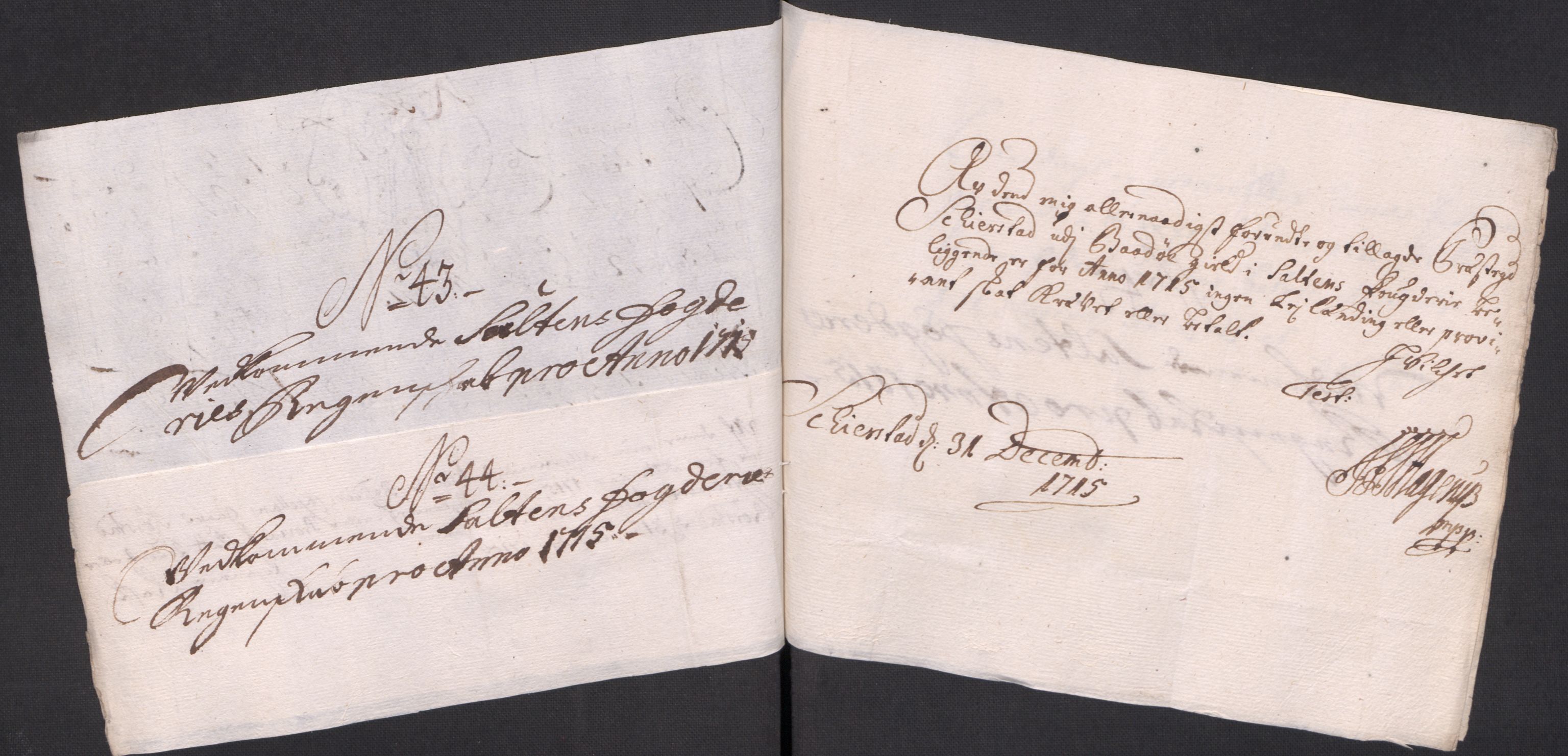 Rentekammeret inntil 1814, Reviderte regnskaper, Fogderegnskap, AV/RA-EA-4092/R66/L4585: Fogderegnskap Salten, 1715, s. 309