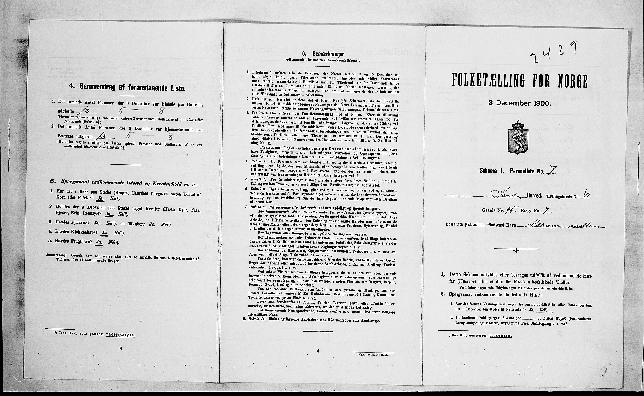 RA, Folketelling 1900 for 0713 Sande herred, 1900, s. 917