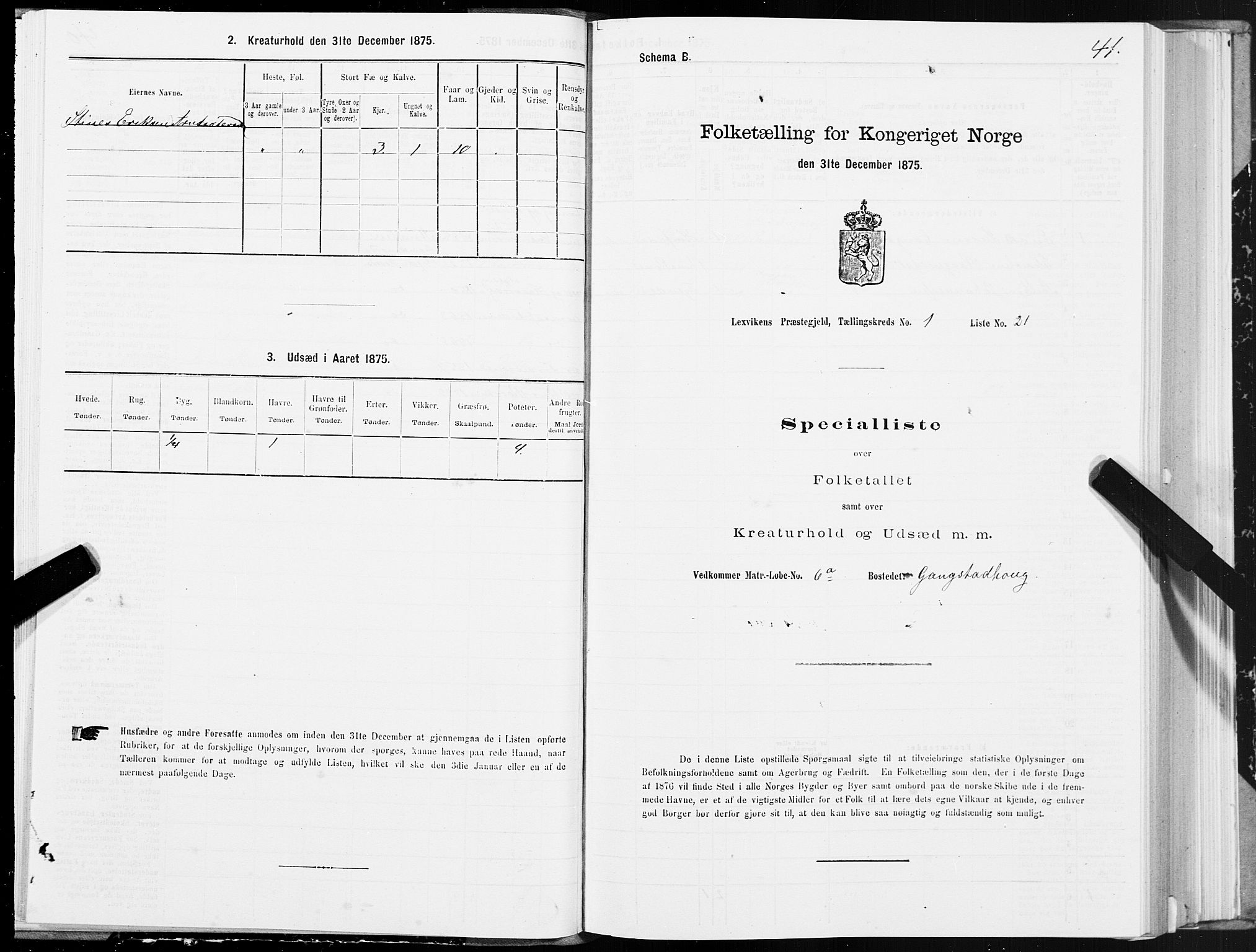SAT, Folketelling 1875 for 1718P Leksvik prestegjeld, 1875, s. 1041