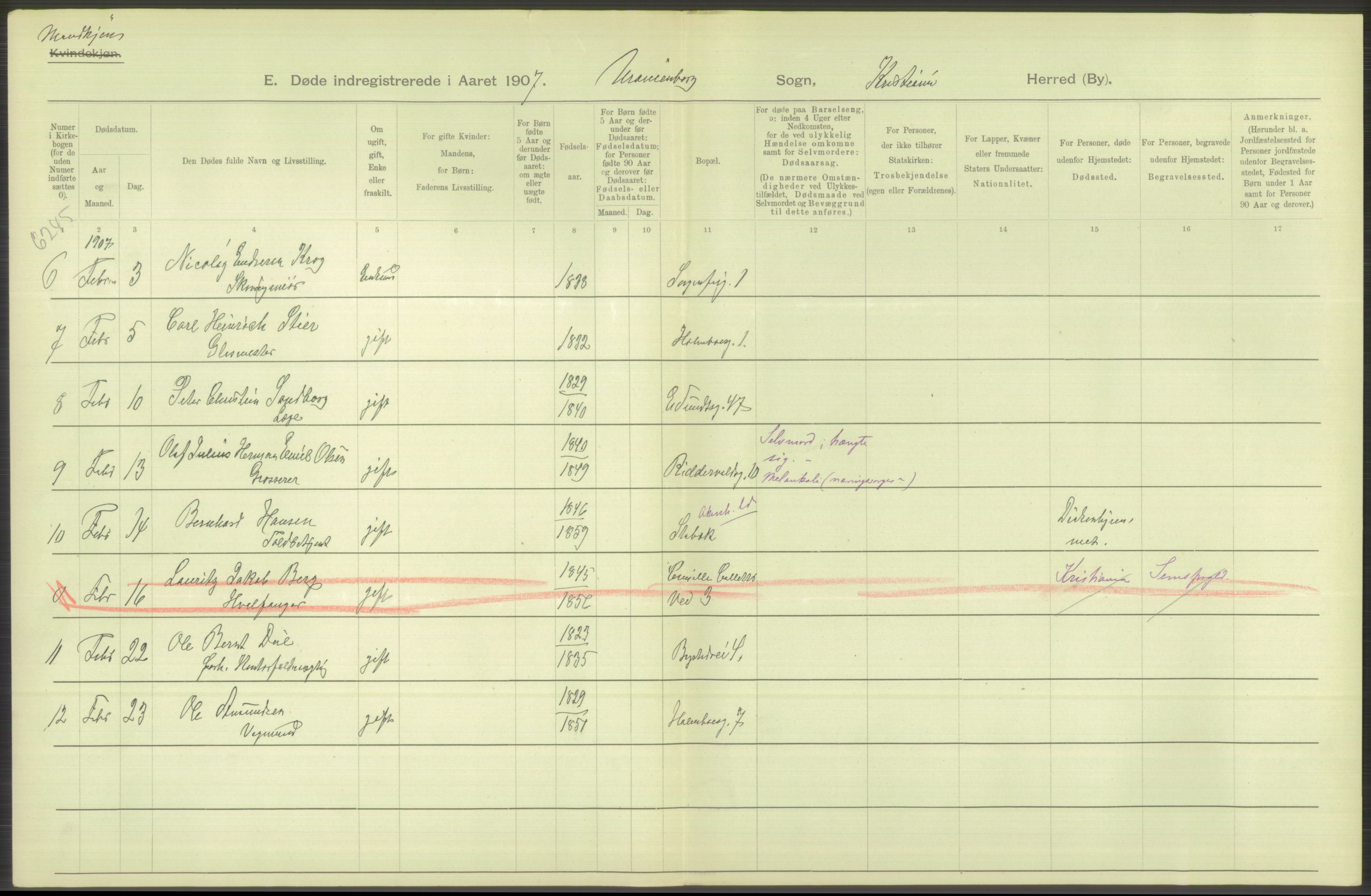 Statistisk sentralbyrå, Sosiodemografiske emner, Befolkning, AV/RA-S-2228/D/Df/Dfa/Dfae/L0010: Kristiania: Døde, dødfødte, 1907, s. 512