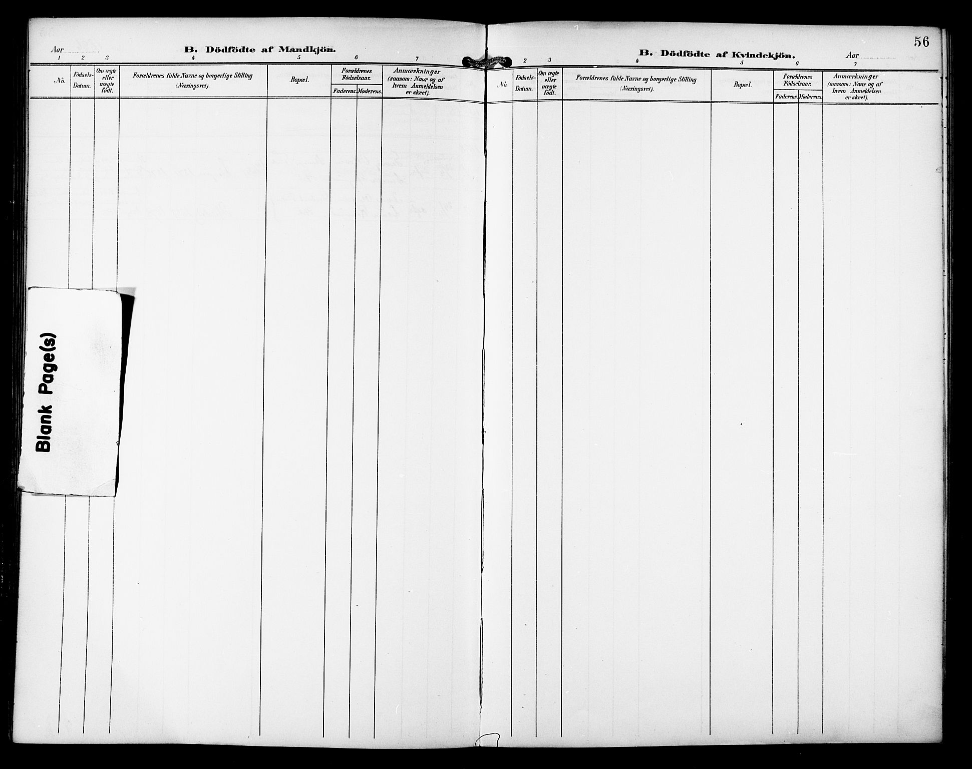 Ministerialprotokoller, klokkerbøker og fødselsregistre - Nordland, AV/SAT-A-1459/810/L0152: Ministerialbok nr. 810A11, 1895-1899, s. 56