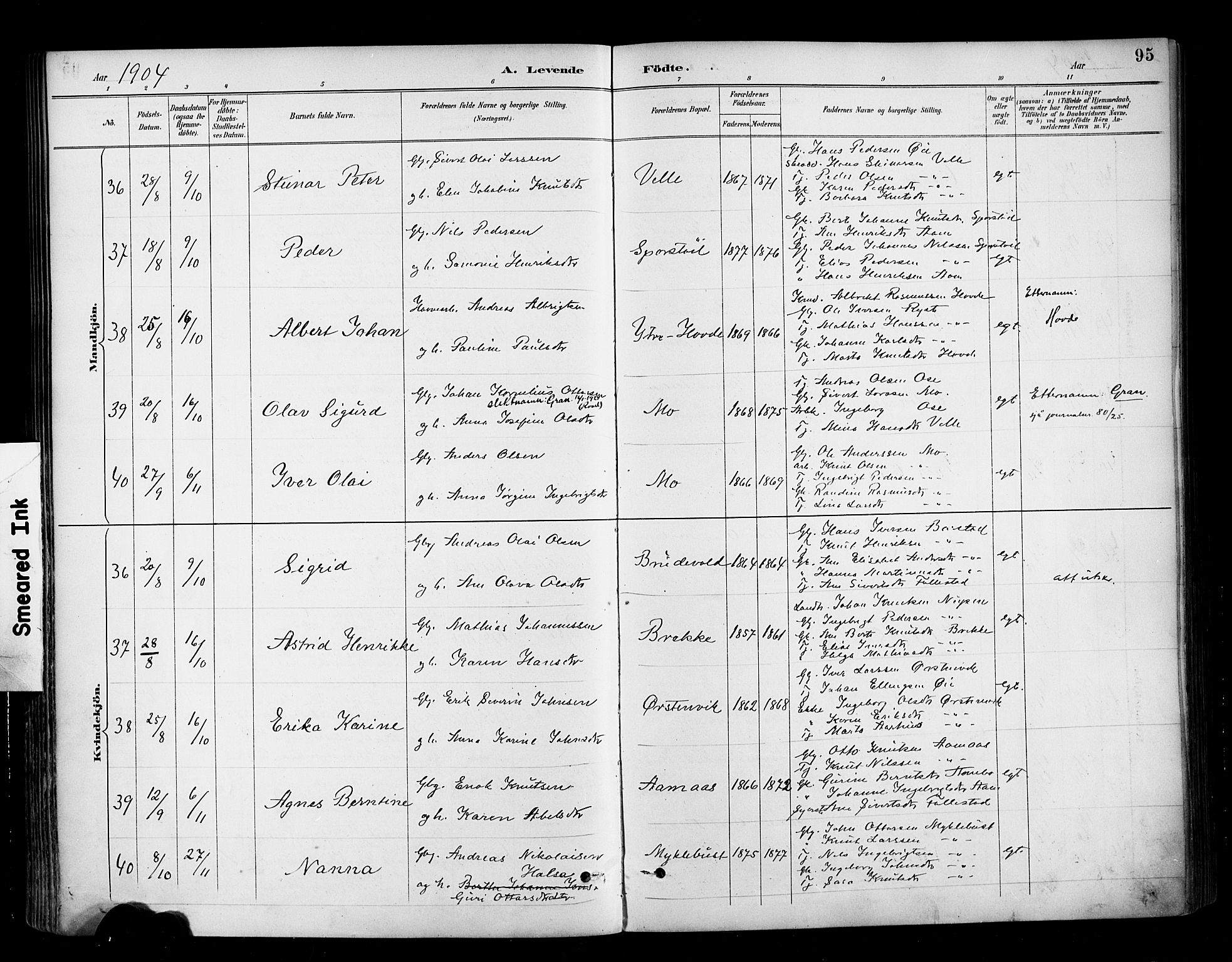 Ministerialprotokoller, klokkerbøker og fødselsregistre - Møre og Romsdal, AV/SAT-A-1454/513/L0177: Ministerialbok nr. 513A04, 1890-1906, s. 95