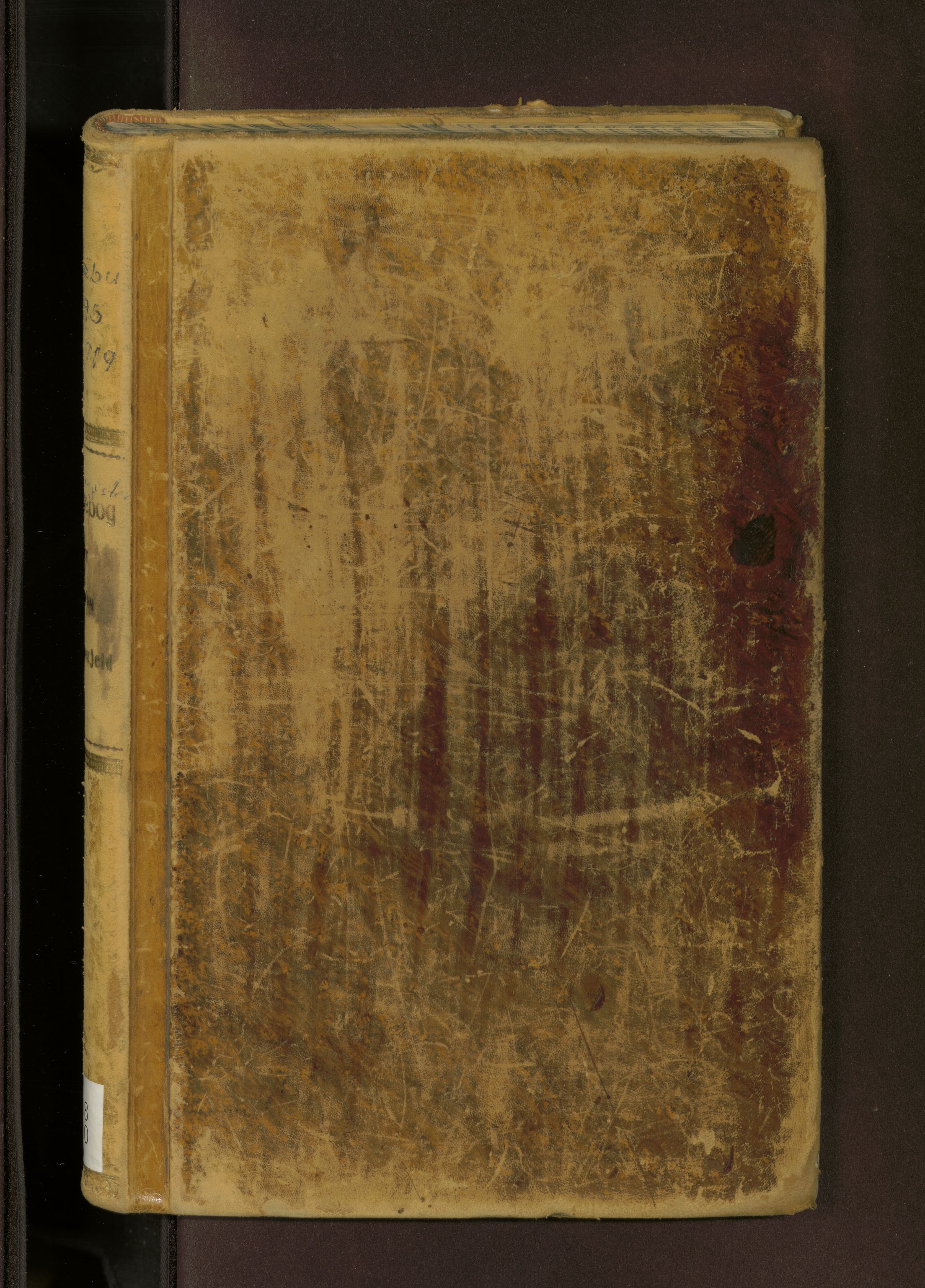 Ministerialprotokoller, klokkerbøker og fødselsregistre - Sør-Trøndelag, AV/SAT-A-1456/618/L0447: Dagsregister nr. 618---, 1899-1905