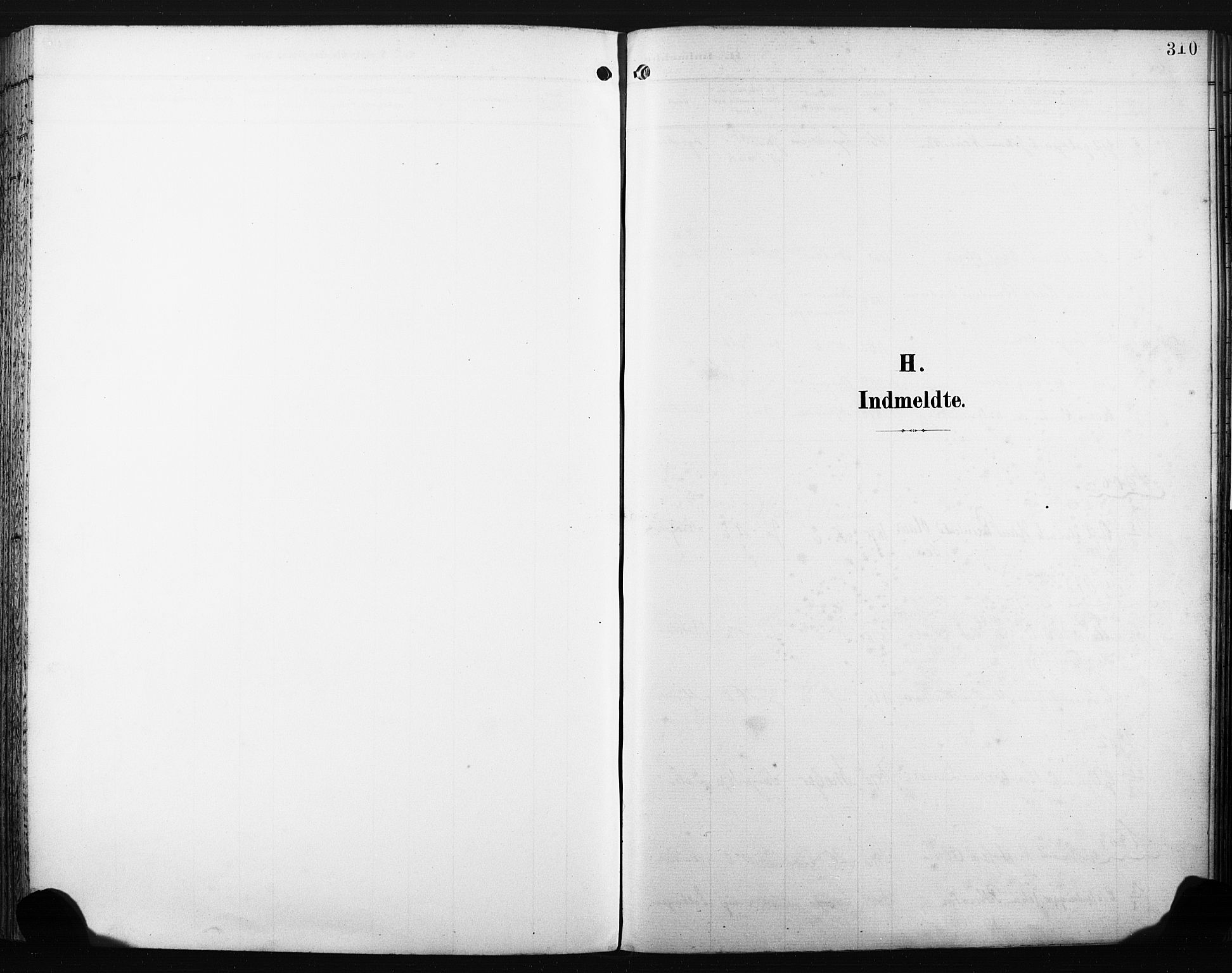 Nedre Eiker kirkebøker, SAKO/A-612/F/Fa/L0005: Ministerialbok nr. 5, 1898-1905, s. 310