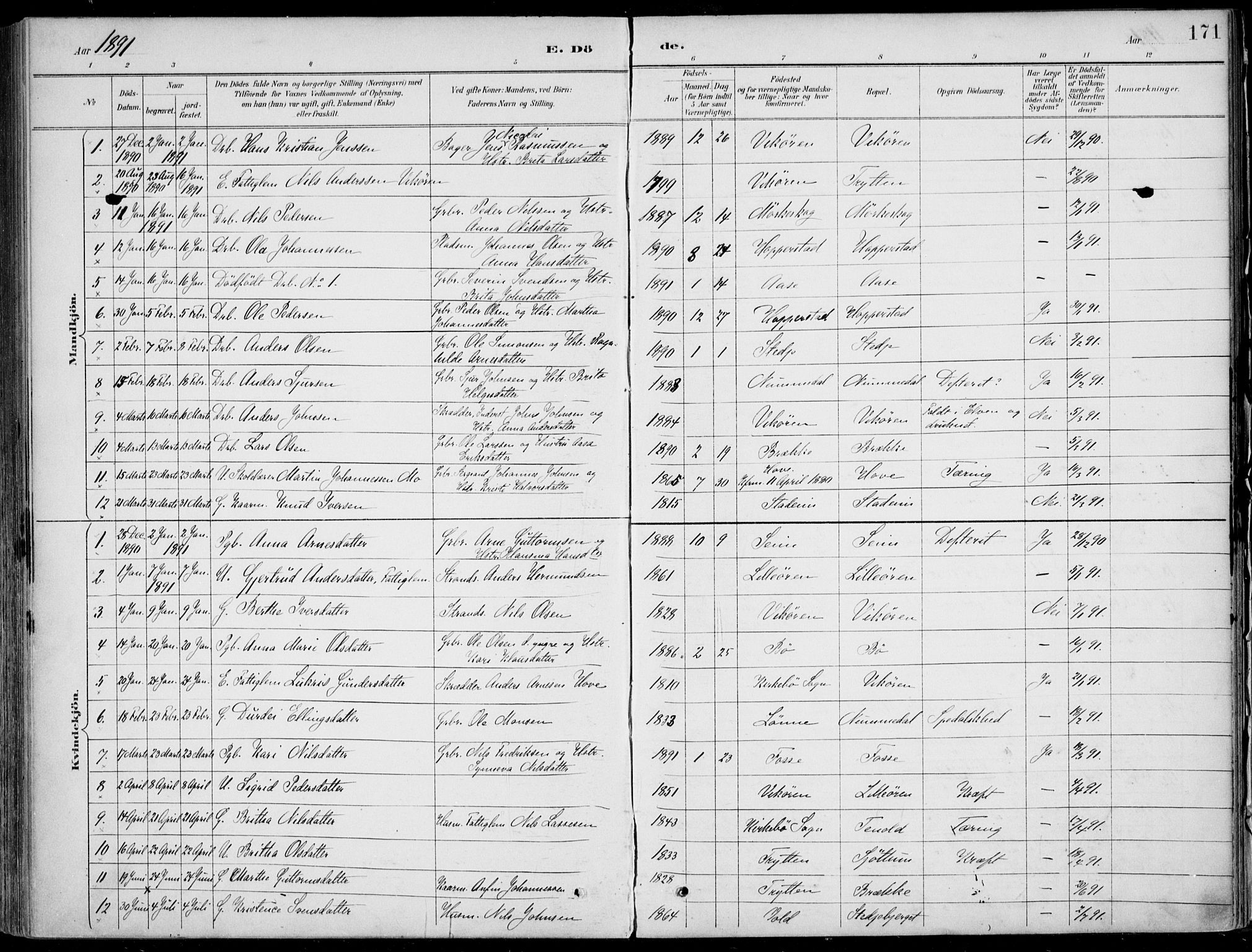 Vik sokneprestembete, AV/SAB-A-81501/H/Haa/Haab/L0002: Ministerialbok nr. B  2, 1891-1907, s. 171