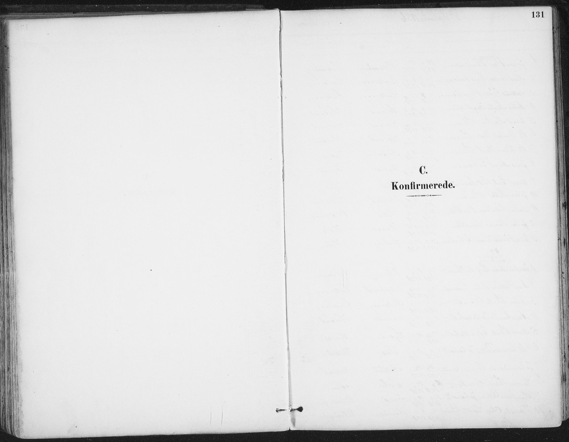 Ministerialprotokoller, klokkerbøker og fødselsregistre - Nordland, SAT/A-1459/816/L0244: Ministerialbok nr. 816A10, 1886-1903, s. 131