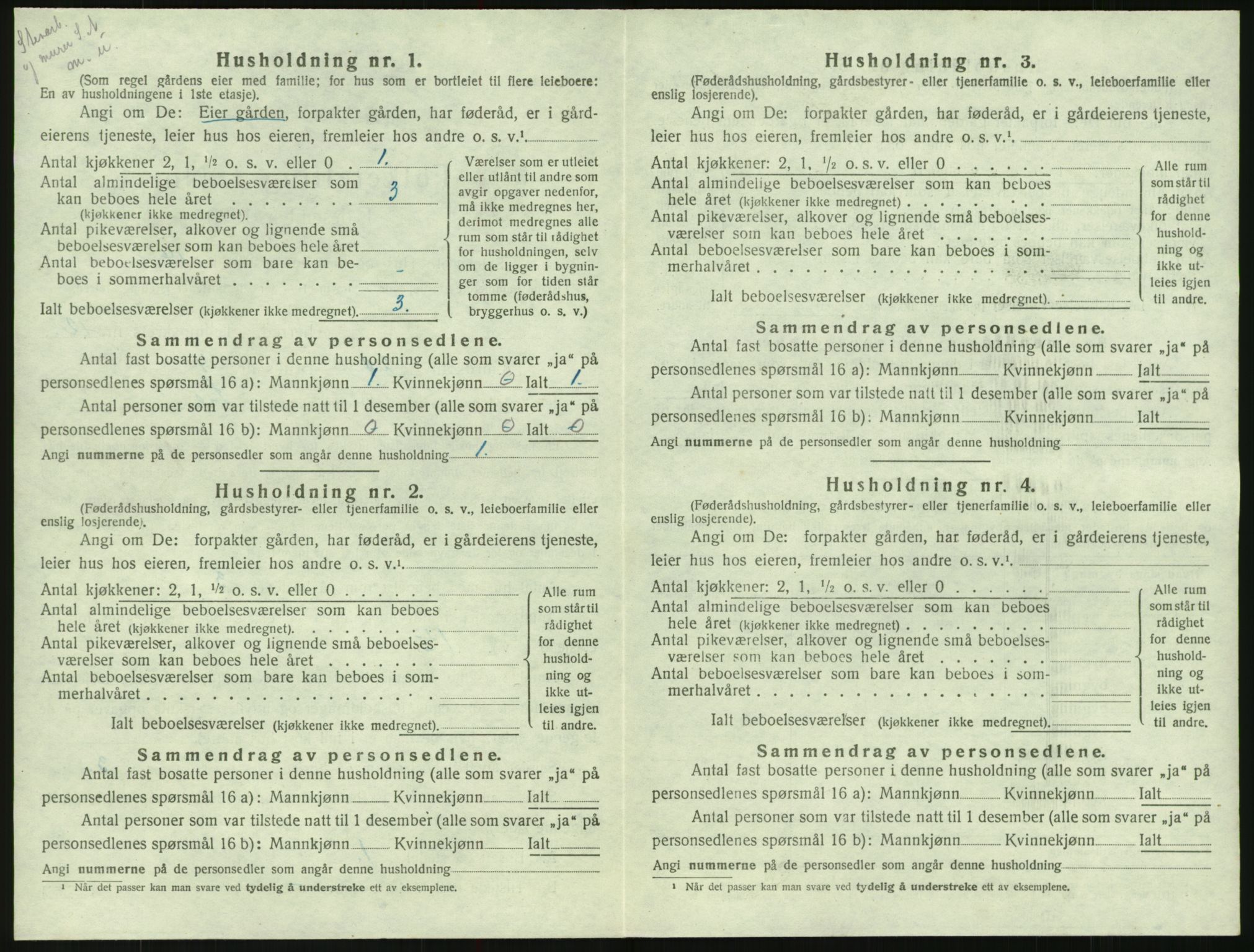 SAK, Folketelling 1920 for 0936 Hornnes herred, 1920, s. 500