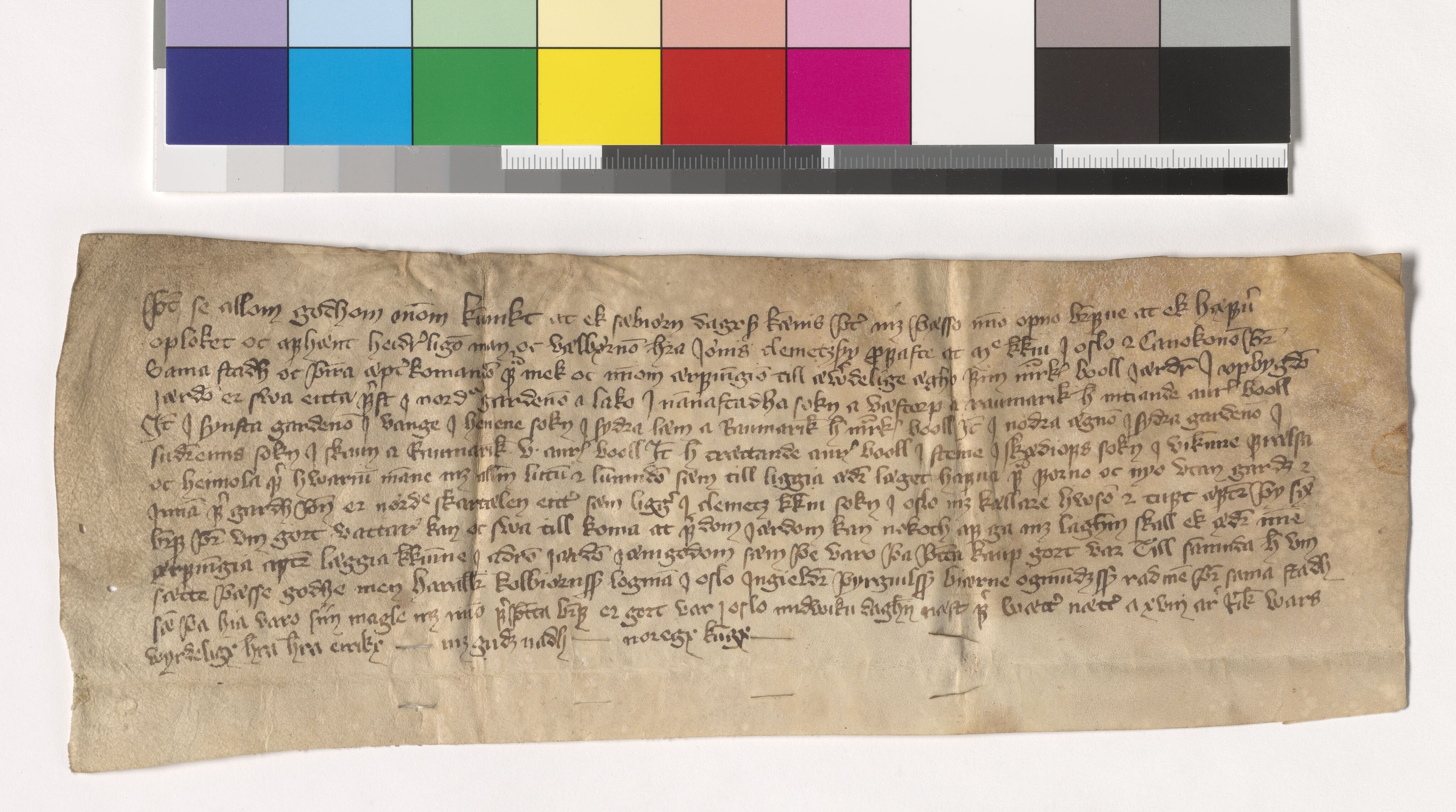 Riksarkivets diplomsamling, AV/RA-EA-5965/F05/L0203: NRA AM fasc. 83 nr. 6-15, 1405-1407, s. 8