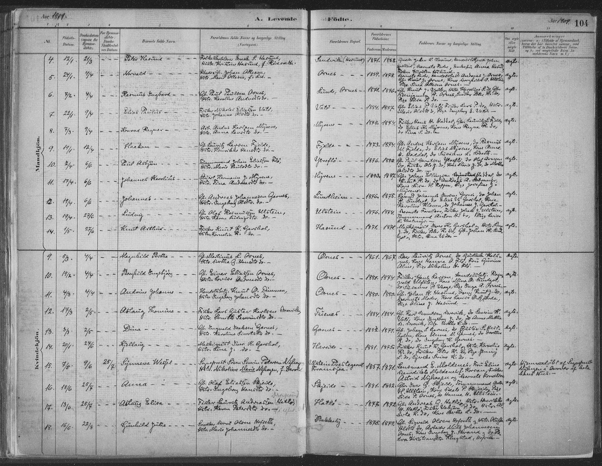 Ministerialprotokoller, klokkerbøker og fødselsregistre - Møre og Romsdal, SAT/A-1454/509/L0106: Ministerialbok nr. 509A04, 1883-1922, s. 104