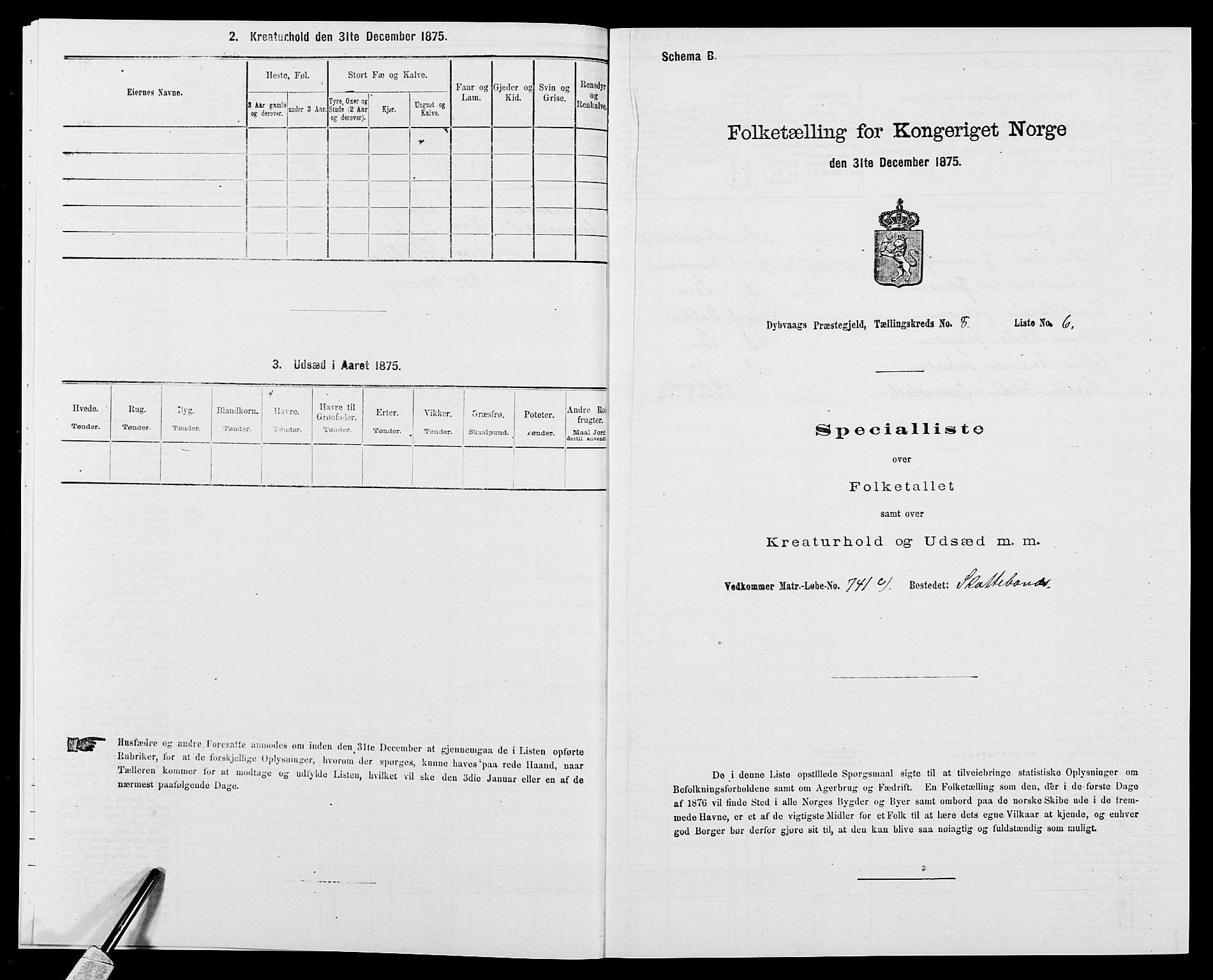 SAK, Folketelling 1875 for 0915P Dypvåg prestegjeld, 1875, s. 933