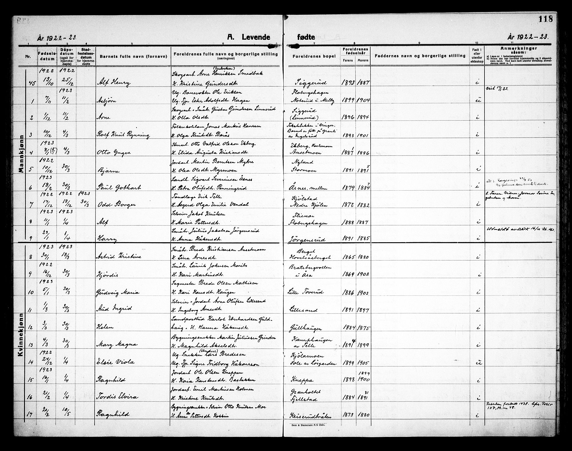Åsnes prestekontor, AV/SAH-PREST-042/H/Ha/Haa/L0000C: Ministerialbok nr. 0A, 1890-1929, s. 118