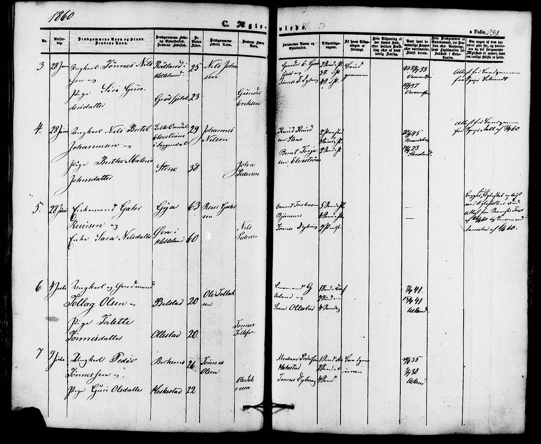 Lund sokneprestkontor, AV/SAST-A-101809/S06/L0010: Ministerialbok nr. A 9, 1854-1886, s. 239