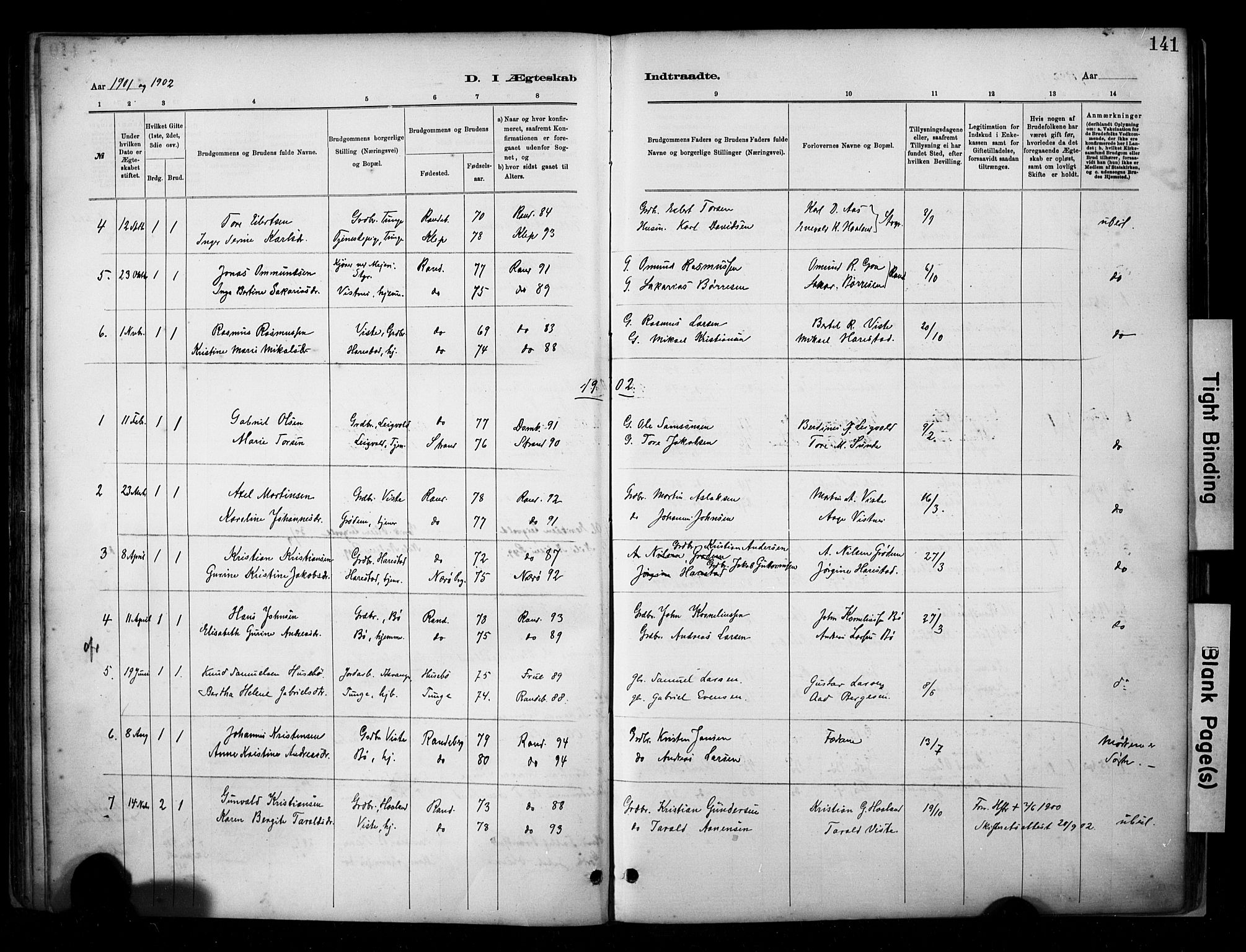 Hetland sokneprestkontor, SAST/A-101826/30/30BA/L0009: Ministerialbok nr. A 9, 1882-1918, s. 141