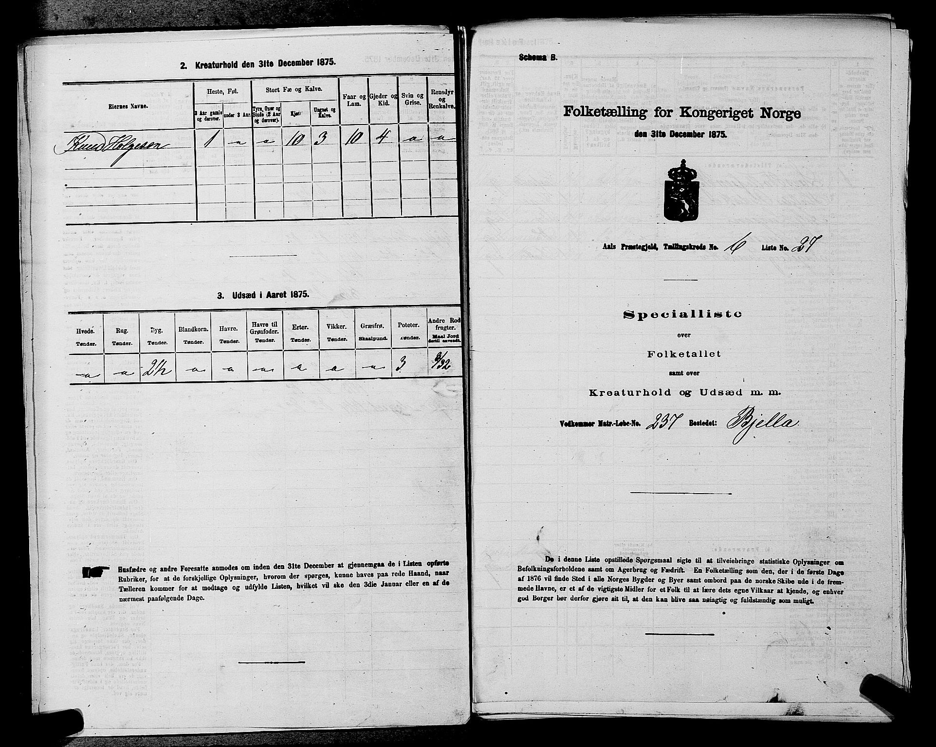 SAKO, Folketelling 1875 for 0619P Ål prestegjeld, 1875, s. 792