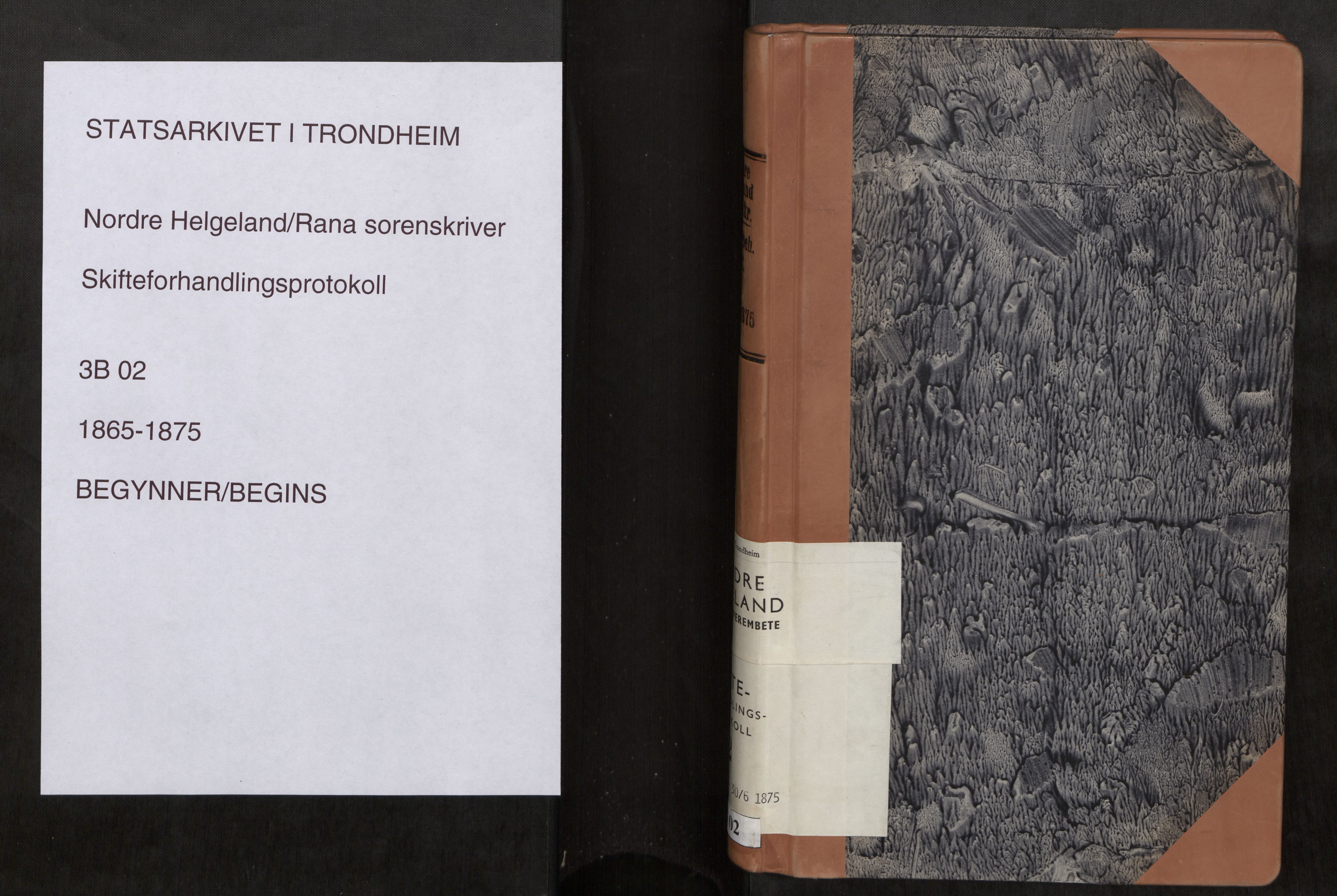 Brønnøy sorenskriveri, SAT/A-4170/1/3/3B/L0002: Skiftebehandlingsprotokoll, 1865-1875