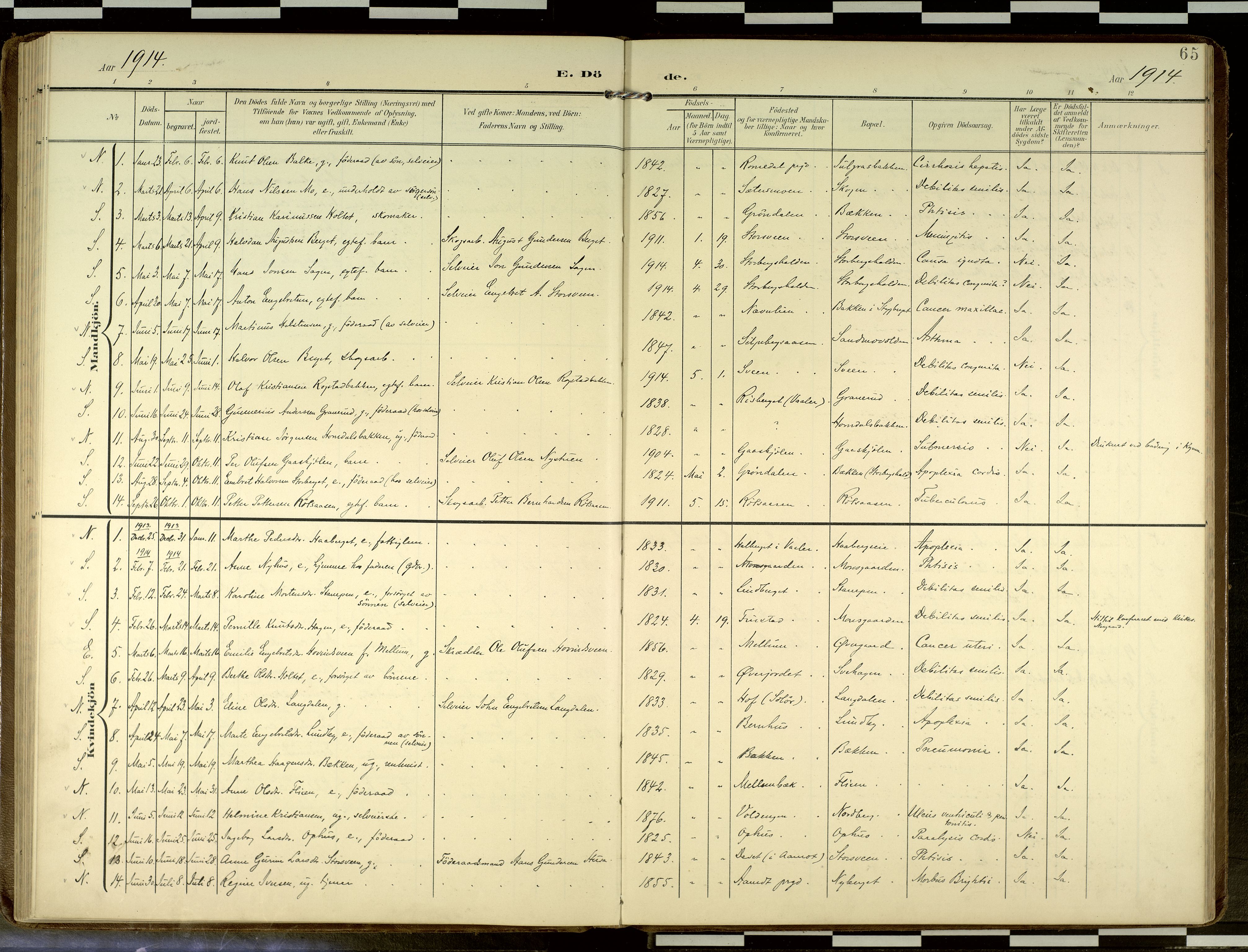 Elverum prestekontor, AV/SAH-PREST-044/H/Ha/Haa/L0019: Ministerialbok nr. 19, 1903-1926, s. 65