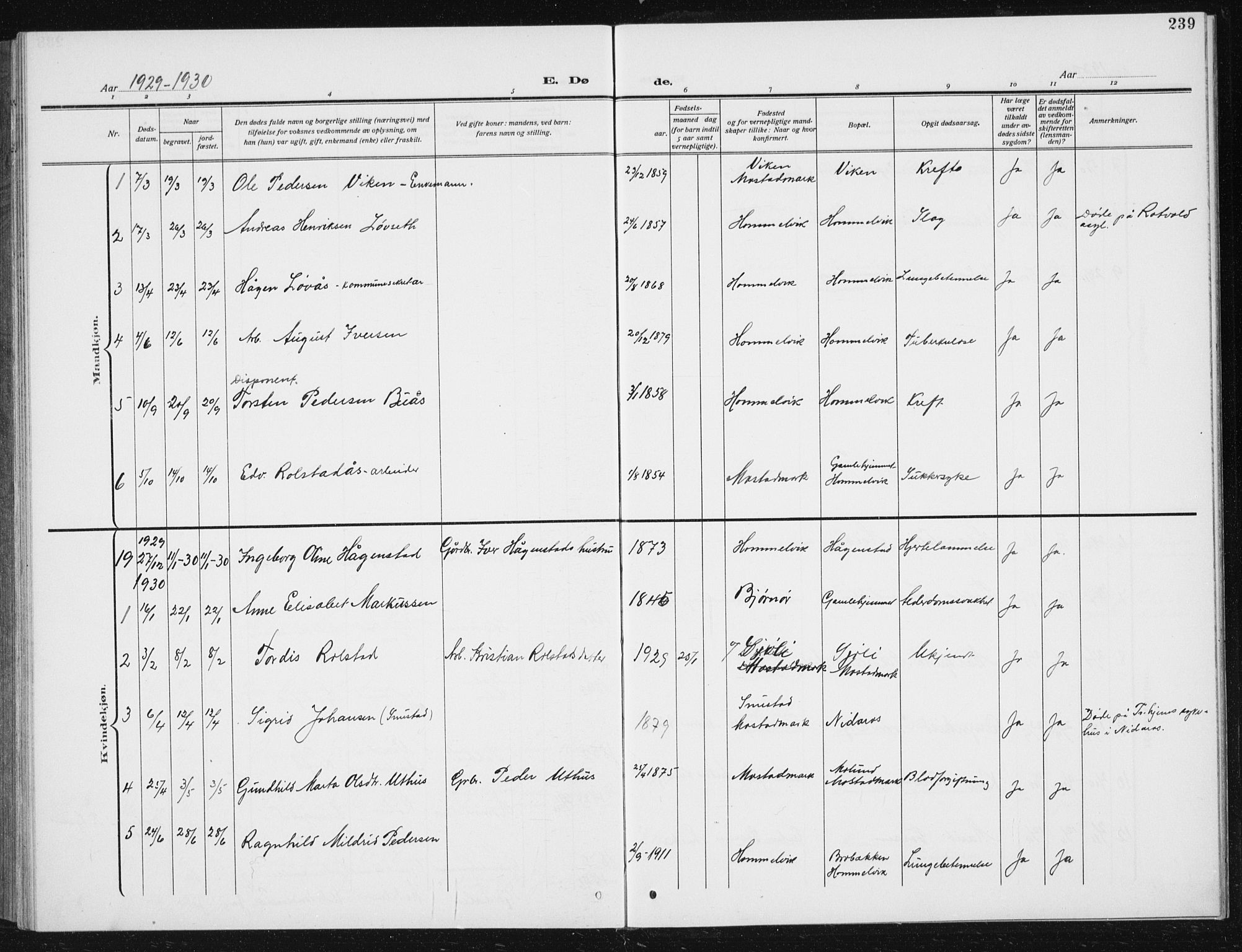 Ministerialprotokoller, klokkerbøker og fødselsregistre - Sør-Trøndelag, AV/SAT-A-1456/617/L0431: Klokkerbok nr. 617C02, 1910-1936, s. 239