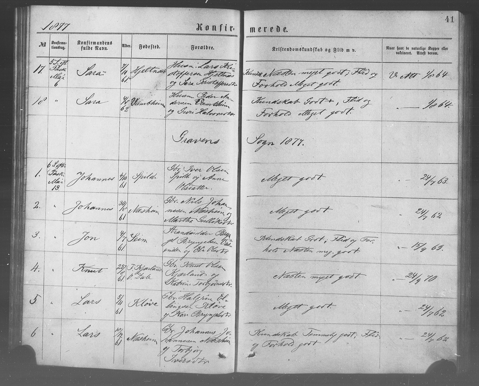 Ulvik sokneprestembete, AV/SAB-A-78801/H/Haa: Ministerialbok nr. A 17, 1873-1891, s. 41