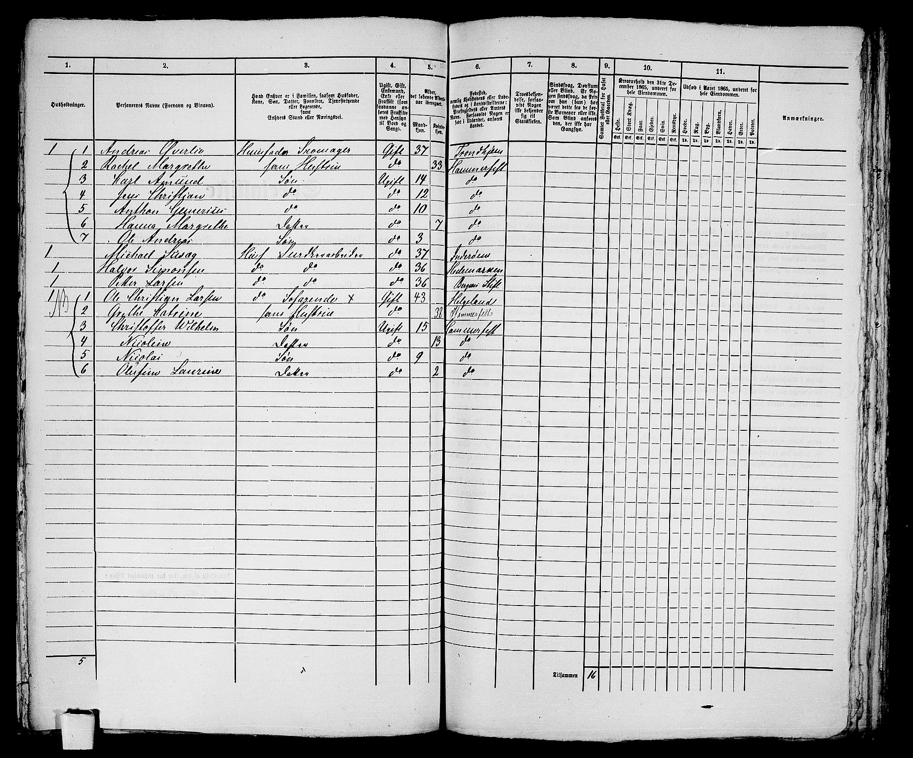 RA, Folketelling 1865 for 2001B Hammerfest prestegjeld, Hammerfest kjøpstad, 1865, s. 226