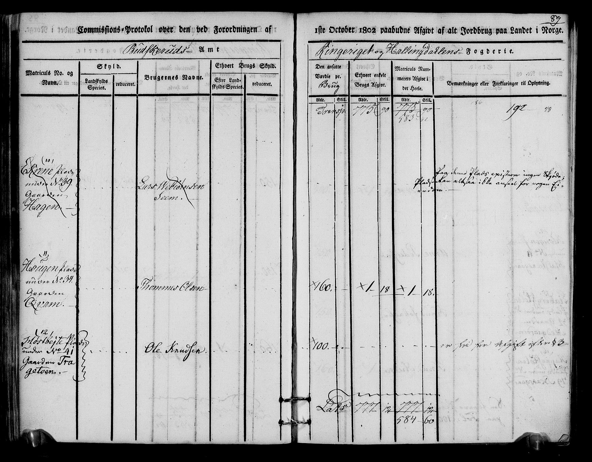 Rentekammeret inntil 1814, Realistisk ordnet avdeling, RA/EA-4070/N/Ne/Nea/L0048: Ringerike og Hallingdal fogderi. Kommisjonsprotokoll for Ål prestegjeld, 1803, s. 93