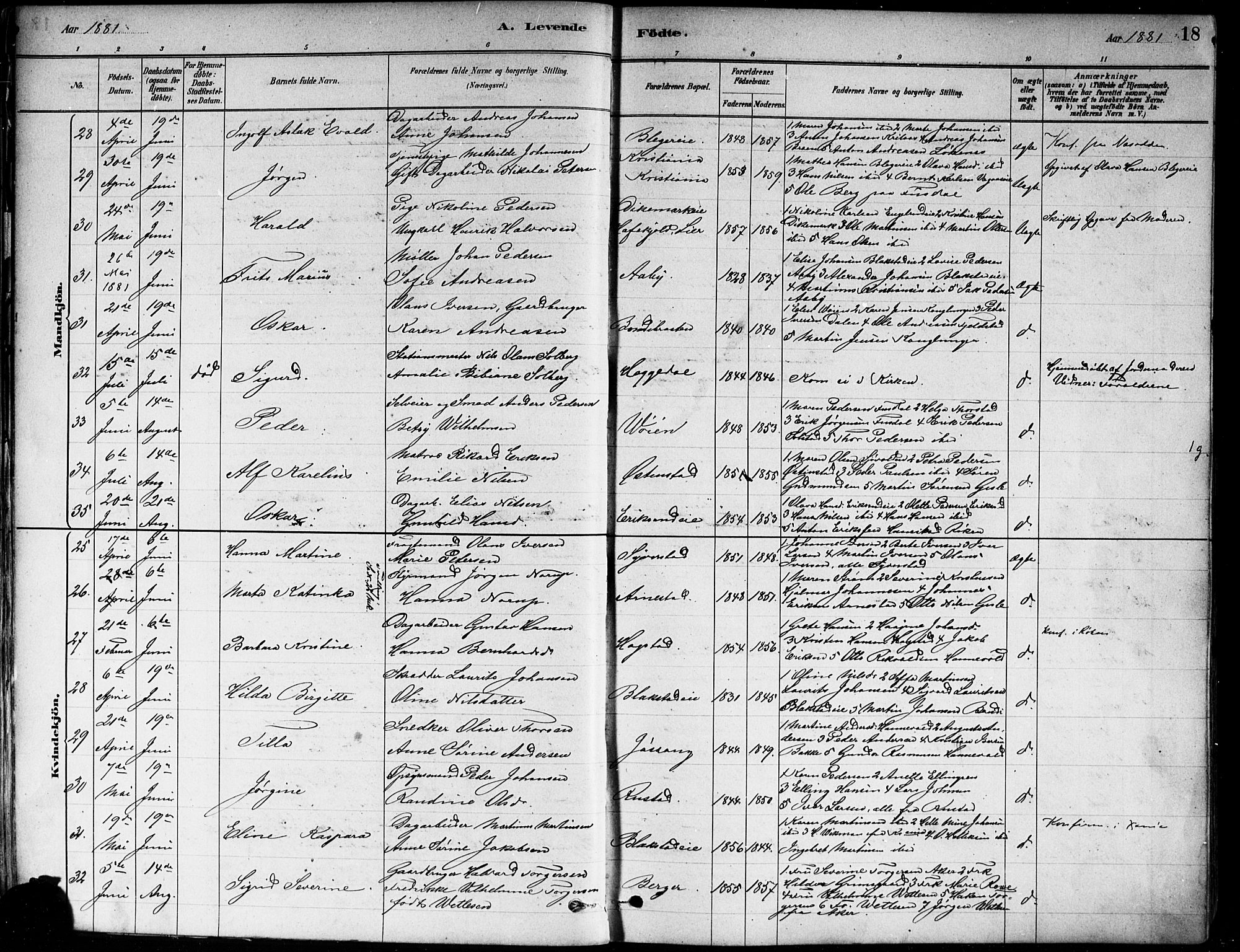 Asker prestekontor Kirkebøker, AV/SAO-A-10256a/F/Fa/L0013: Ministerialbok nr. I 13, 1879-1896, s. 18