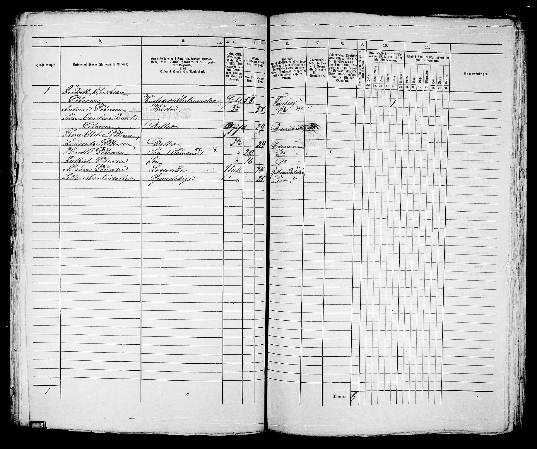 RA, Folketelling 1865 for 0602bP Strømsø prestegjeld i Drammen kjøpstad, 1865, s. 254