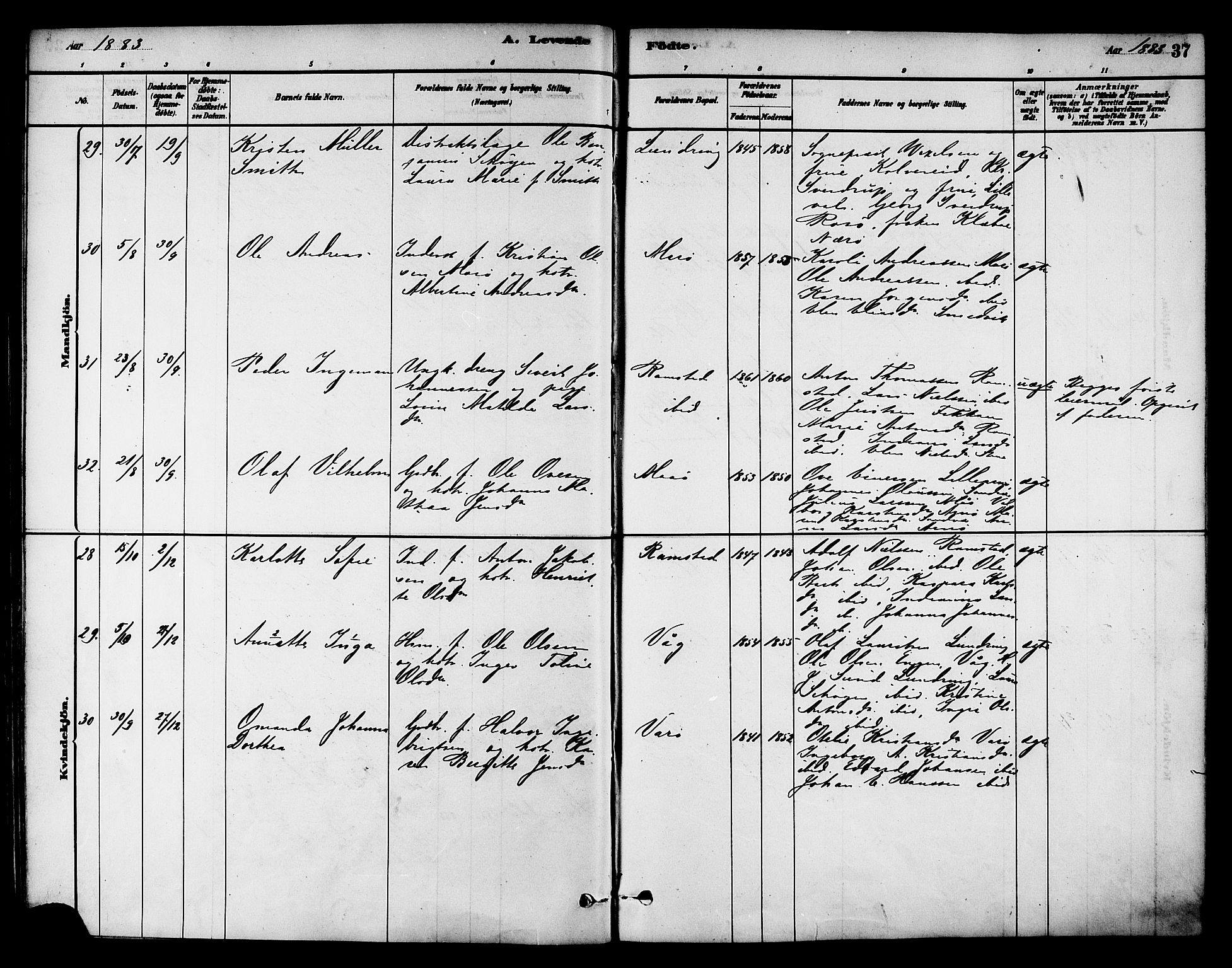 Ministerialprotokoller, klokkerbøker og fødselsregistre - Nord-Trøndelag, AV/SAT-A-1458/784/L0672: Ministerialbok nr. 784A07, 1880-1887, s. 37