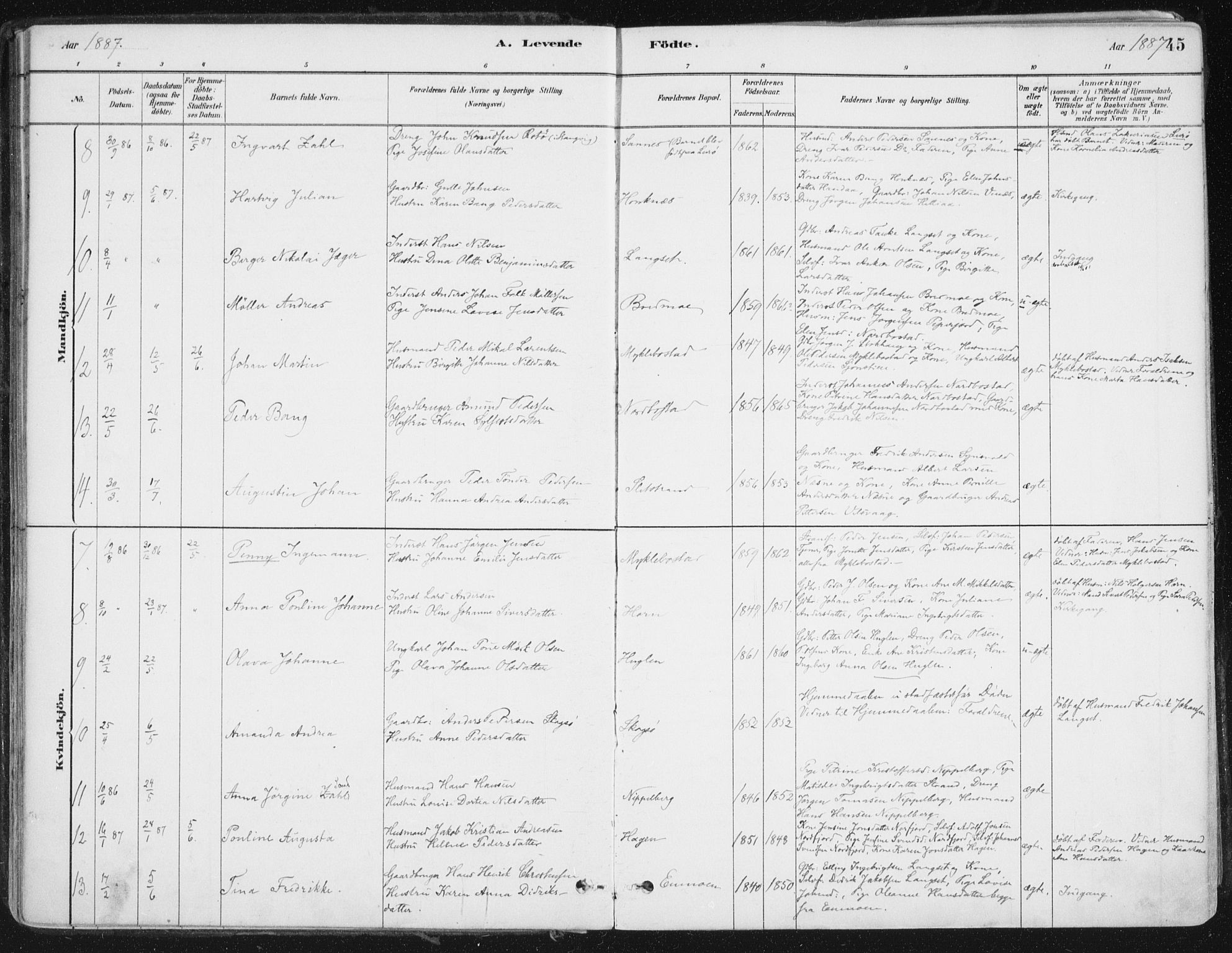 Ministerialprotokoller, klokkerbøker og fødselsregistre - Nordland, SAT/A-1459/838/L0552: Ministerialbok nr. 838A10, 1880-1910, s. 45