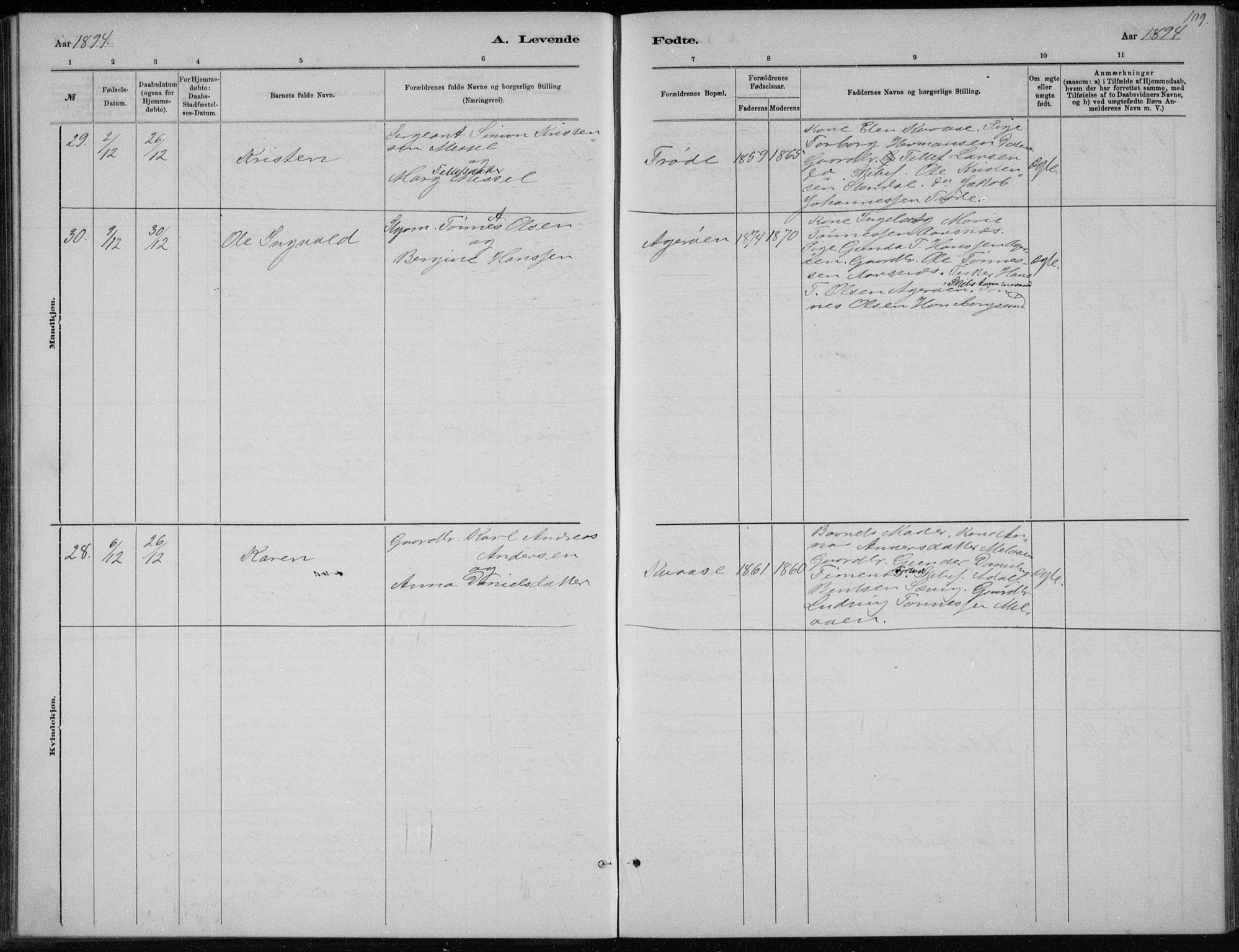 Høvåg sokneprestkontor, AV/SAK-1111-0025/F/Fb/L0004: Klokkerbok nr. B 4, 1883-1898, s. 109