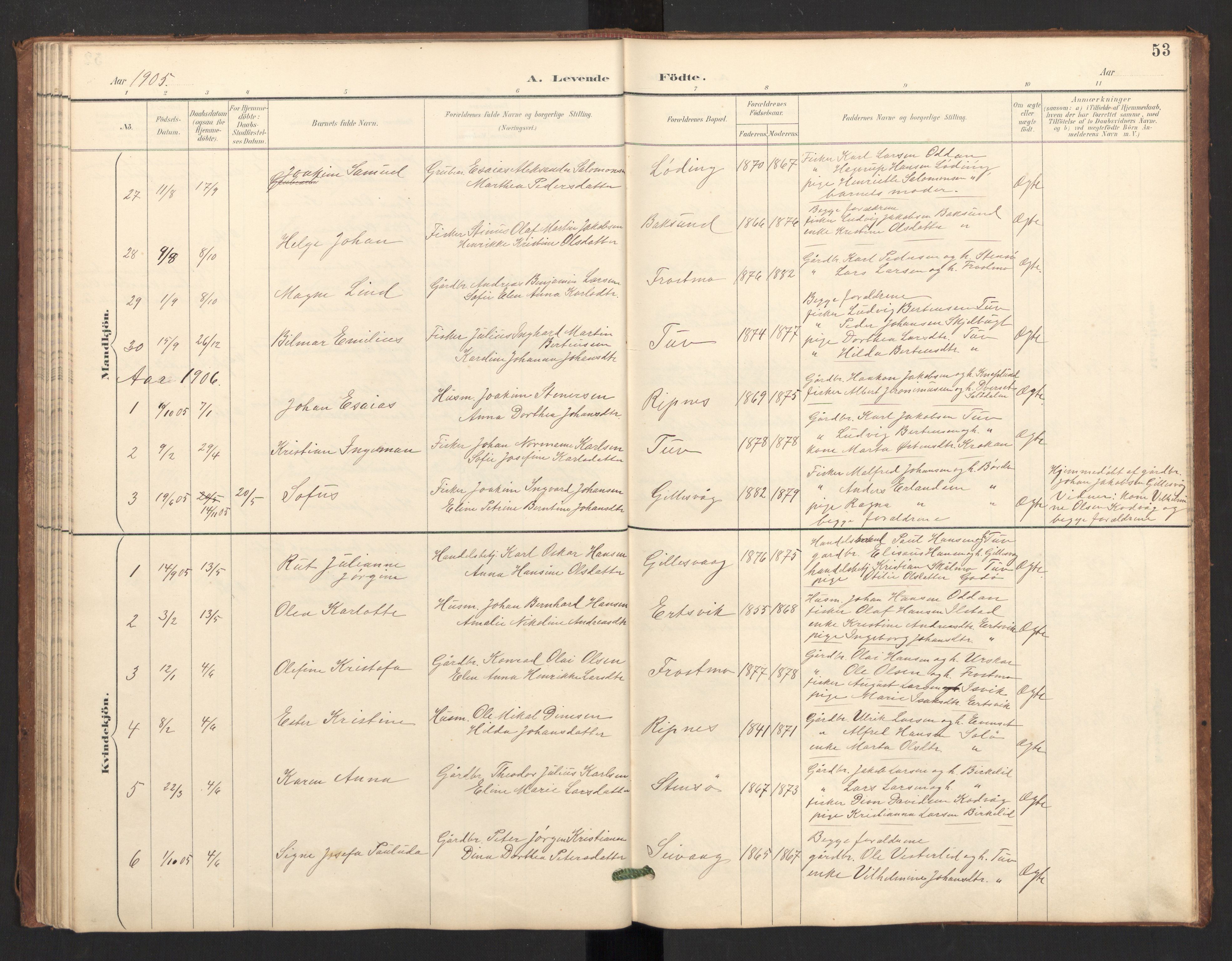 Ministerialprotokoller, klokkerbøker og fødselsregistre - Nordland, SAT/A-1459/804/L0087: Ministerialbok nr. 804A08, 1894-1907, s. 53