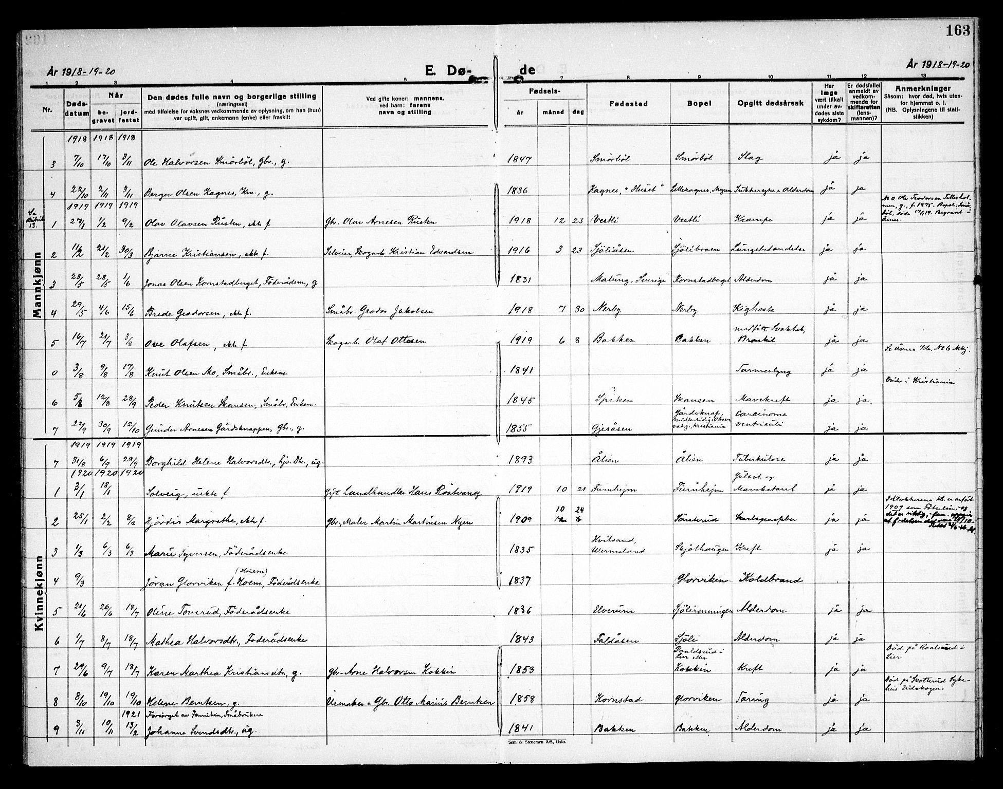 Åsnes prestekontor, SAH/PREST-042/H/Ha/Haa/L0000D: Ministerialbok nr. 0B, 1890-1929, s. 163