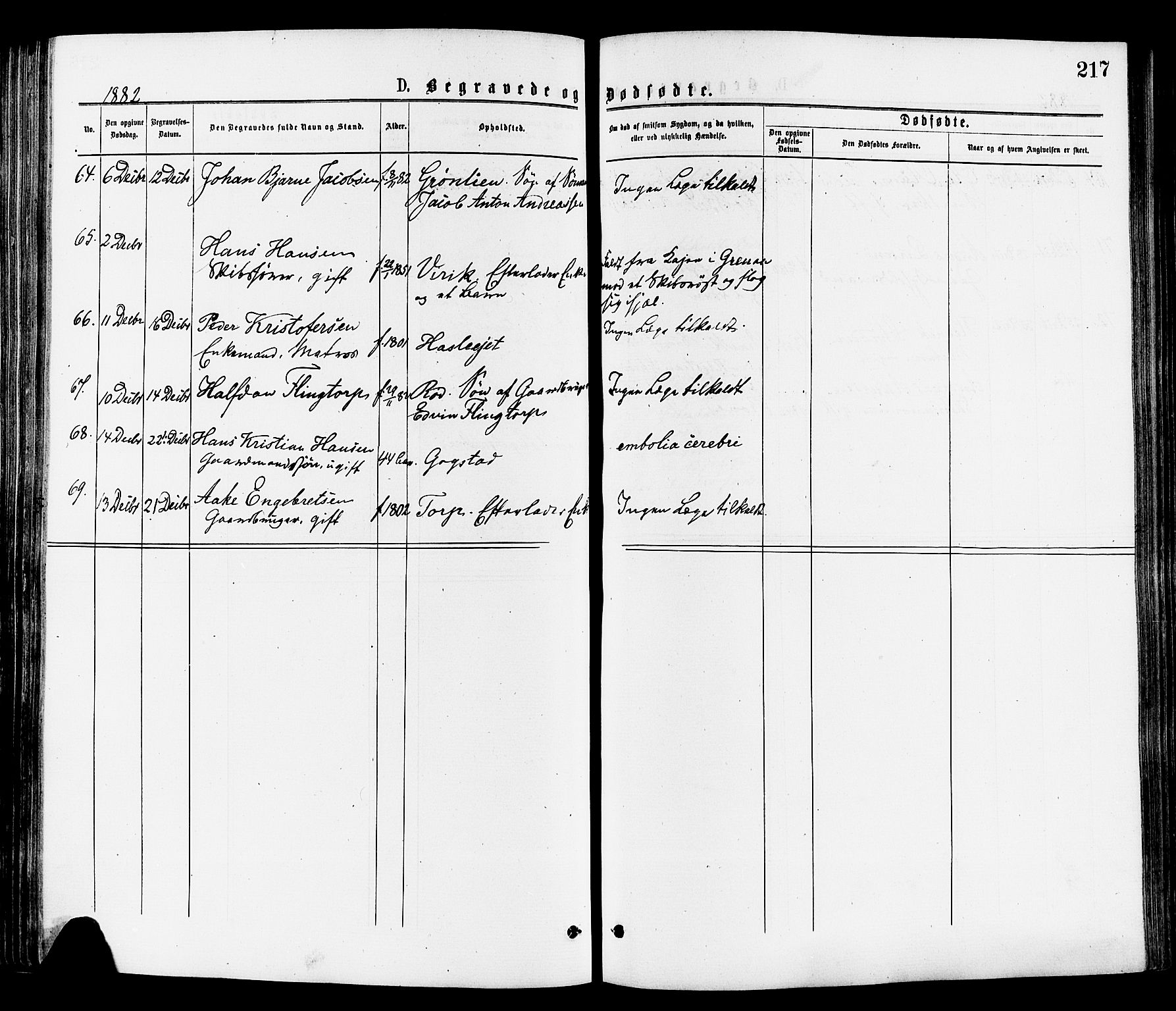 Sandar kirkebøker, AV/SAKO-A-243/F/Fa/L0011: Ministerialbok nr. 11, 1872-1882, s. 217