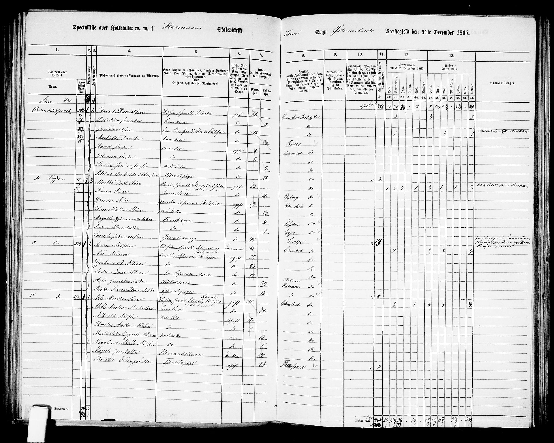 RA, Folketelling 1865 for 0918P Austre Moland prestegjeld, 1865, s. 226