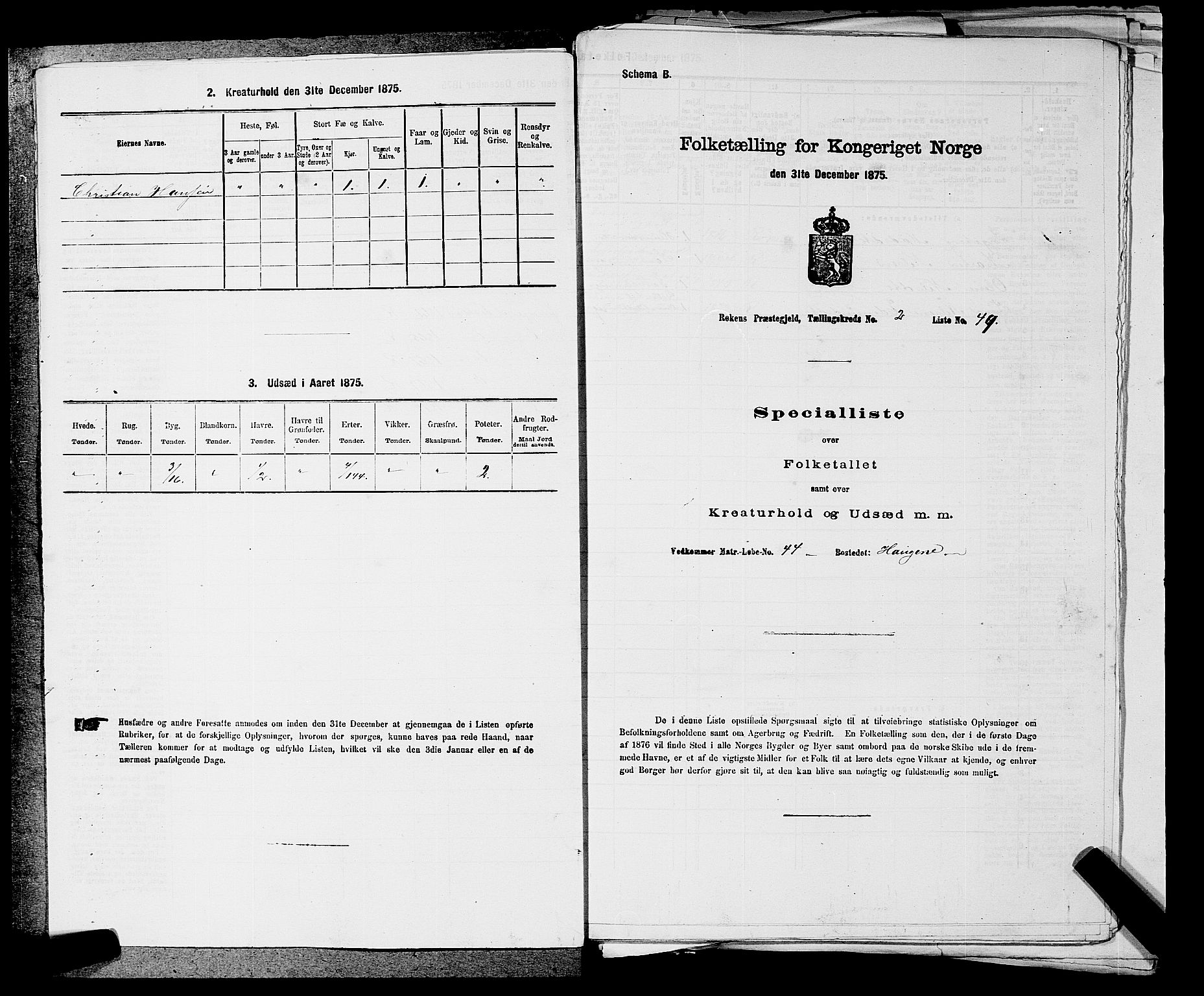 SAKO, Folketelling 1875 for 0627P Røyken prestegjeld, 1875, s. 311