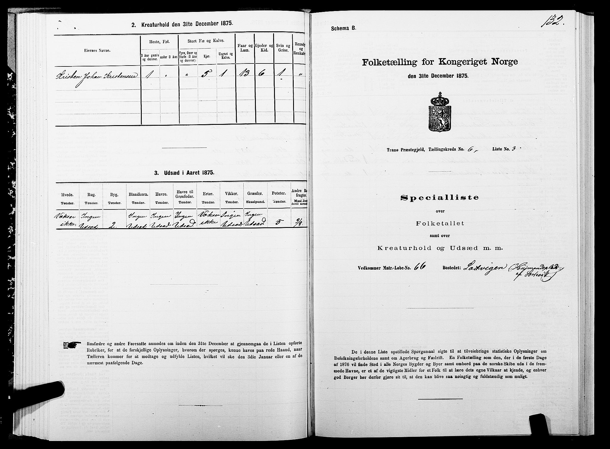 SATØ, Folketelling 1875 for 1927P Tranøy prestegjeld, 1875, s. 3132