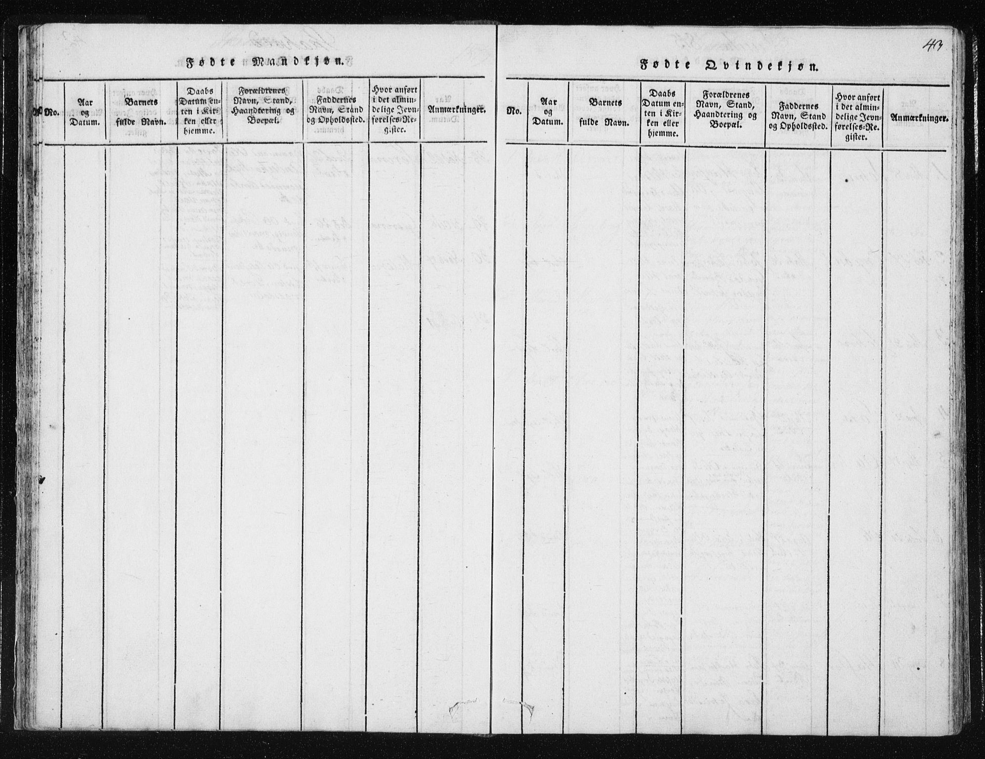 Ministerialprotokoller, klokkerbøker og fødselsregistre - Nord-Trøndelag, AV/SAT-A-1458/709/L0061: Ministerialbok nr. 709A08 /2, 1815-1819, s. 43