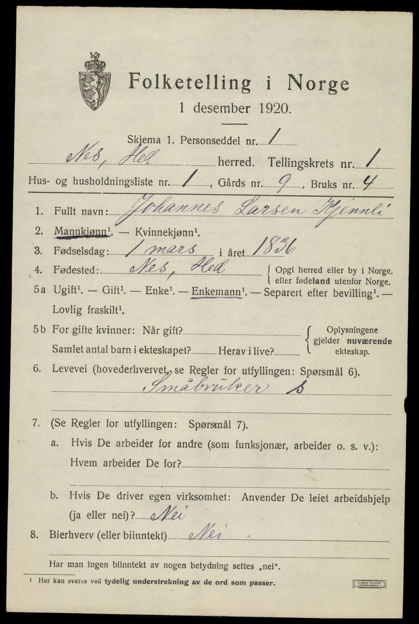 SAH, Folketelling 1920 for 0411 Nes herred, 1920, s. 1294