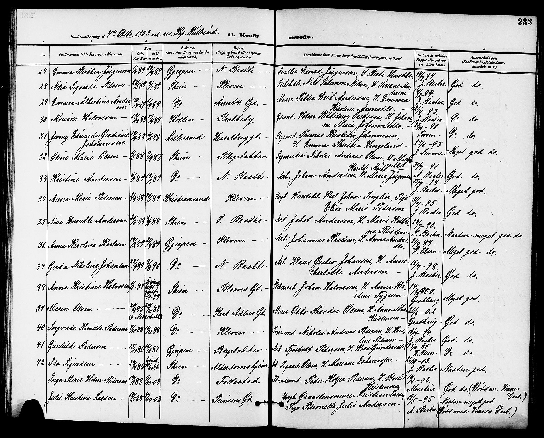 Skien kirkebøker, AV/SAKO-A-302/G/Ga/L0008: Klokkerbok nr. 8, 1900-1910, s. 233