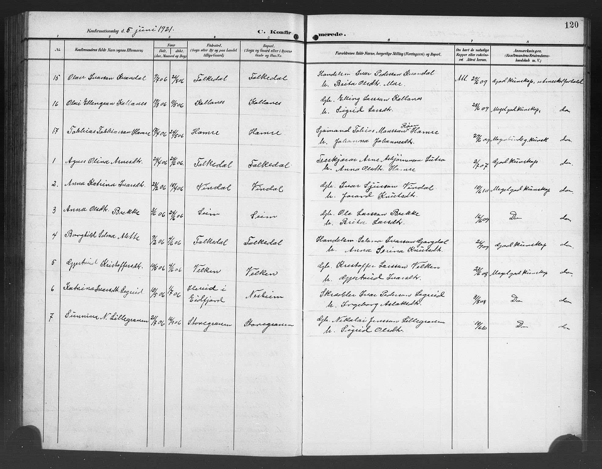 Ulvik sokneprestembete, AV/SAB-A-78801/H/Hab: Klokkerbok nr. B 4, 1902-1923, s. 120