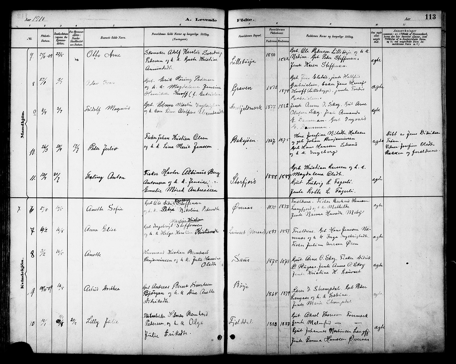 Ministerialprotokoller, klokkerbøker og fødselsregistre - Nordland, AV/SAT-A-1459/814/L0230: Klokkerbok nr. 814C03, 1884-1911, s. 113