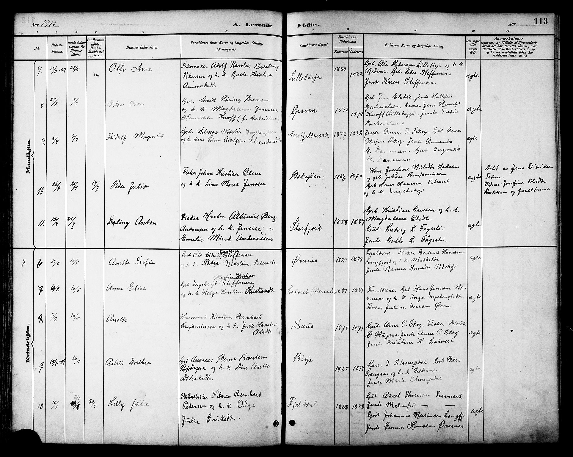 Ministerialprotokoller, klokkerbøker og fødselsregistre - Nordland, SAT/A-1459/814/L0230: Klokkerbok nr. 814C03, 1884-1911, s. 113