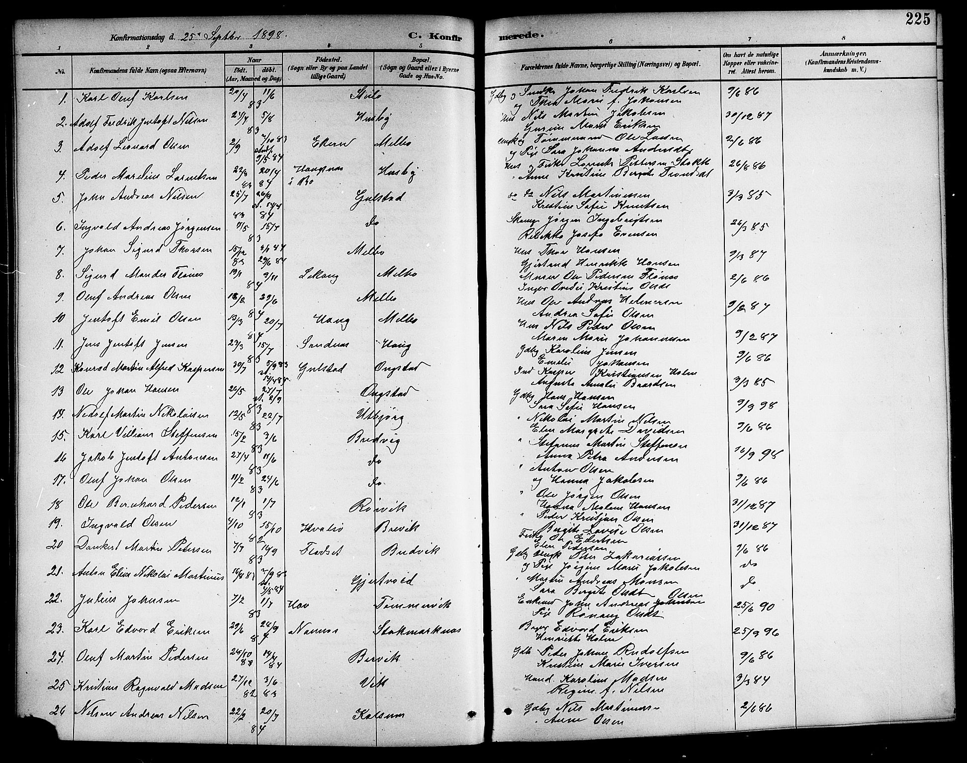 Ministerialprotokoller, klokkerbøker og fødselsregistre - Nordland, AV/SAT-A-1459/888/L1268: Klokkerbok nr. 888C06, 1891-1908, s. 225