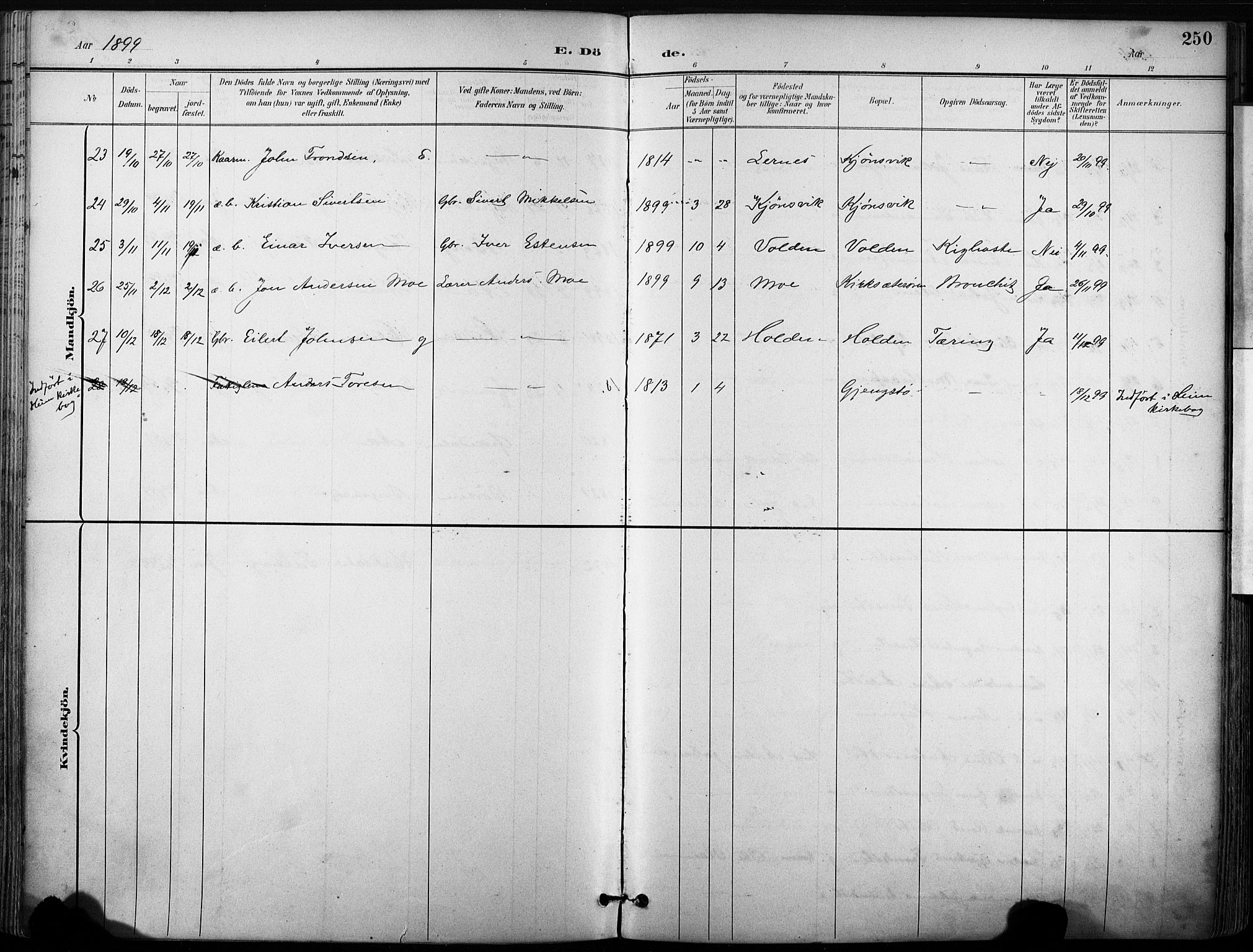 Ministerialprotokoller, klokkerbøker og fødselsregistre - Sør-Trøndelag, SAT/A-1456/630/L0497: Ministerialbok nr. 630A10, 1896-1910, s. 250