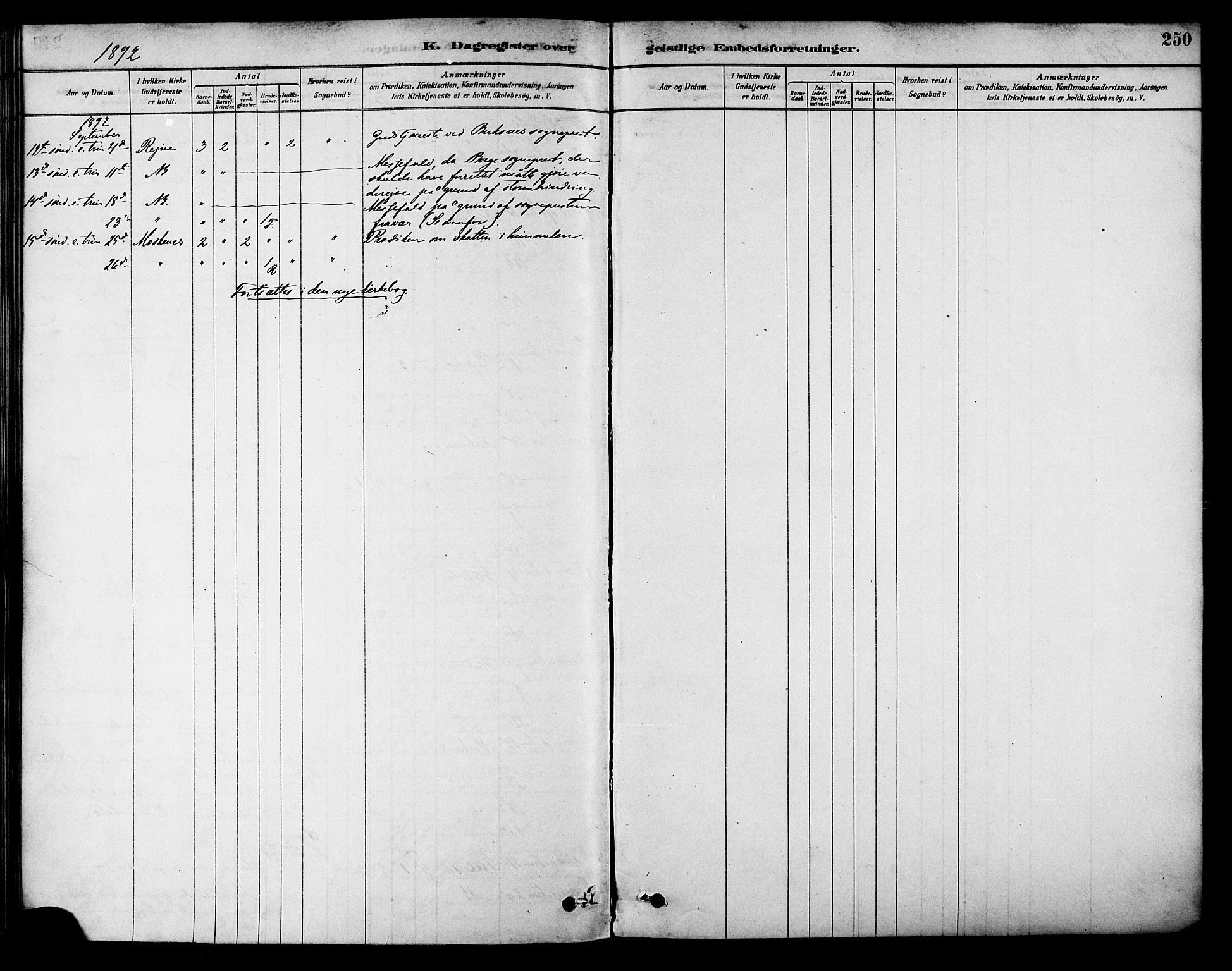 Ministerialprotokoller, klokkerbøker og fødselsregistre - Nordland, AV/SAT-A-1459/885/L1204: Ministerialbok nr. 885A05, 1878-1892, s. 250