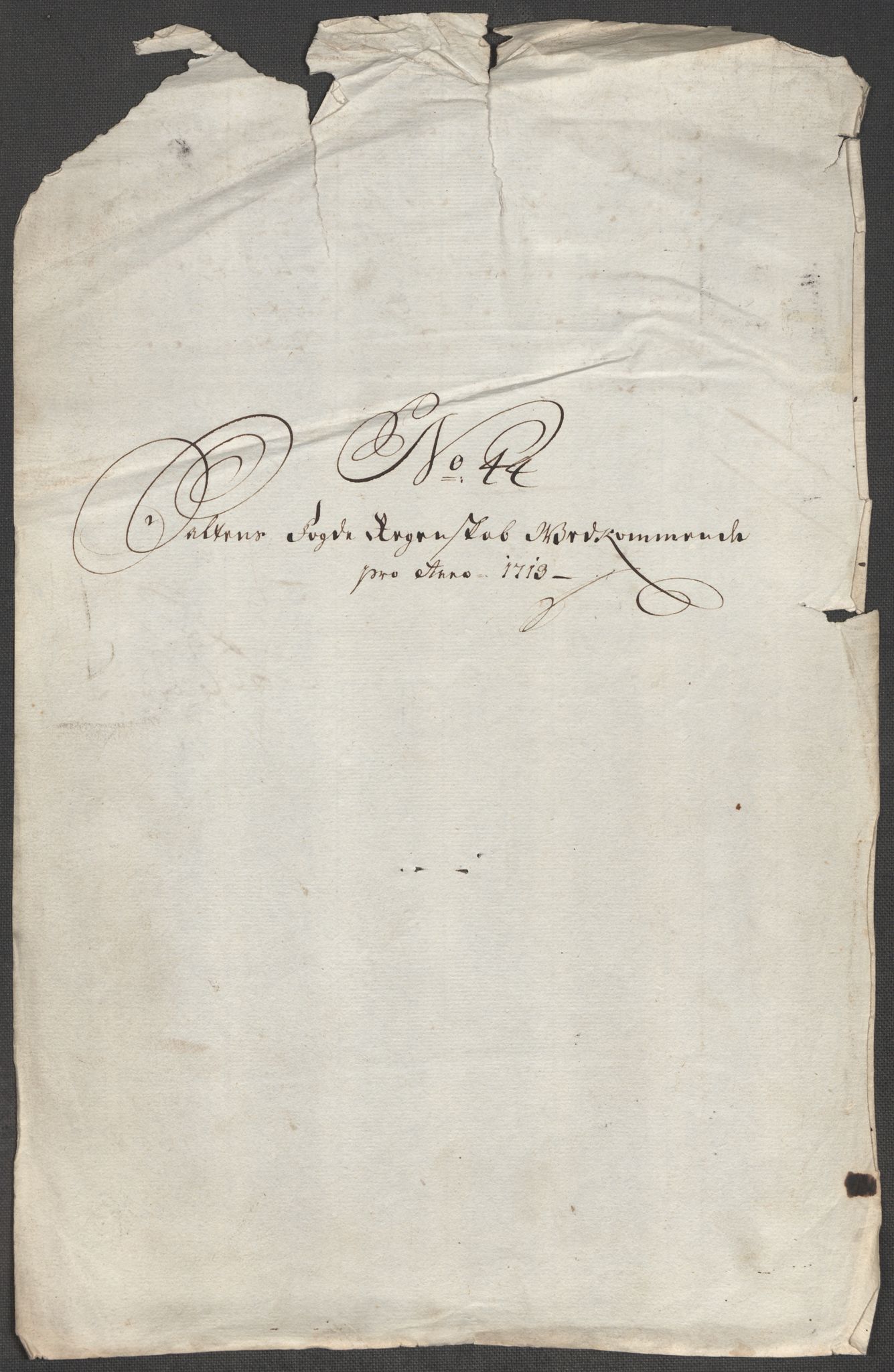 Rentekammeret inntil 1814, Reviderte regnskaper, Fogderegnskap, AV/RA-EA-4092/R66/L4583: Fogderegnskap Salten, 1713, s. 217