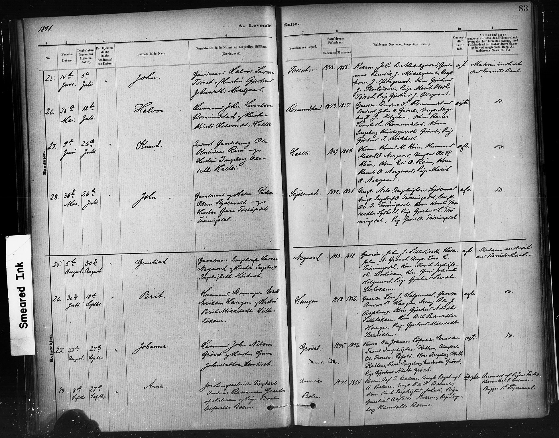 Ministerialprotokoller, klokkerbøker og fødselsregistre - Møre og Romsdal, SAT/A-1454/598/L1069: Ministerialbok nr. 598A03, 1882-1895, s. 83