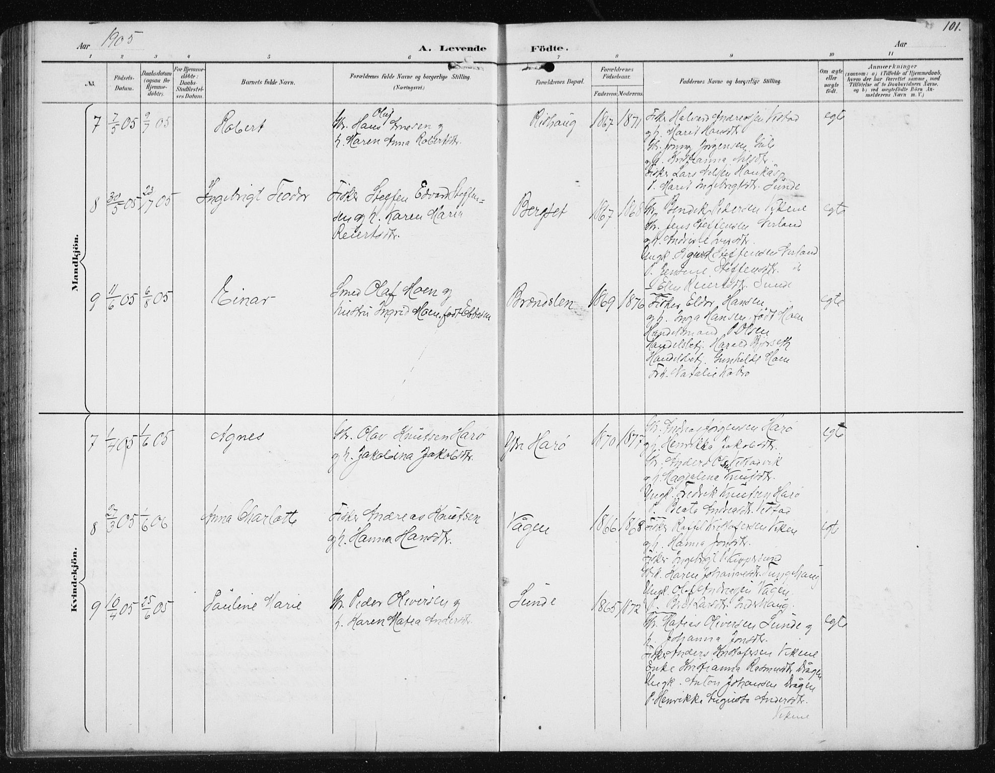 Ministerialprotokoller, klokkerbøker og fødselsregistre - Møre og Romsdal, AV/SAT-A-1454/566/L0773: Klokkerbok nr. 566C02, 1892-1909, s. 101