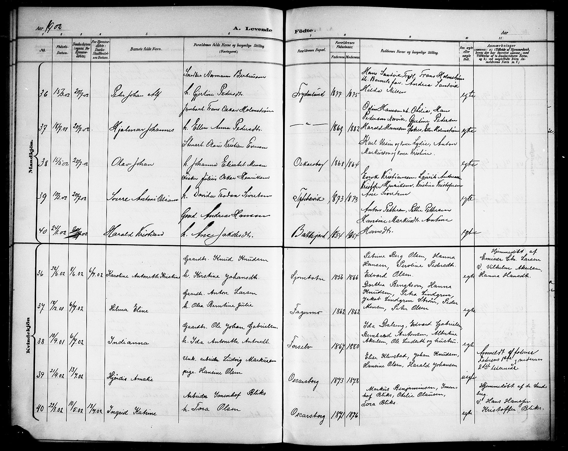 Ministerialprotokoller, klokkerbøker og fødselsregistre - Nordland, AV/SAT-A-1459/866/L0953: Klokkerbok nr. 866C02, 1900-1905